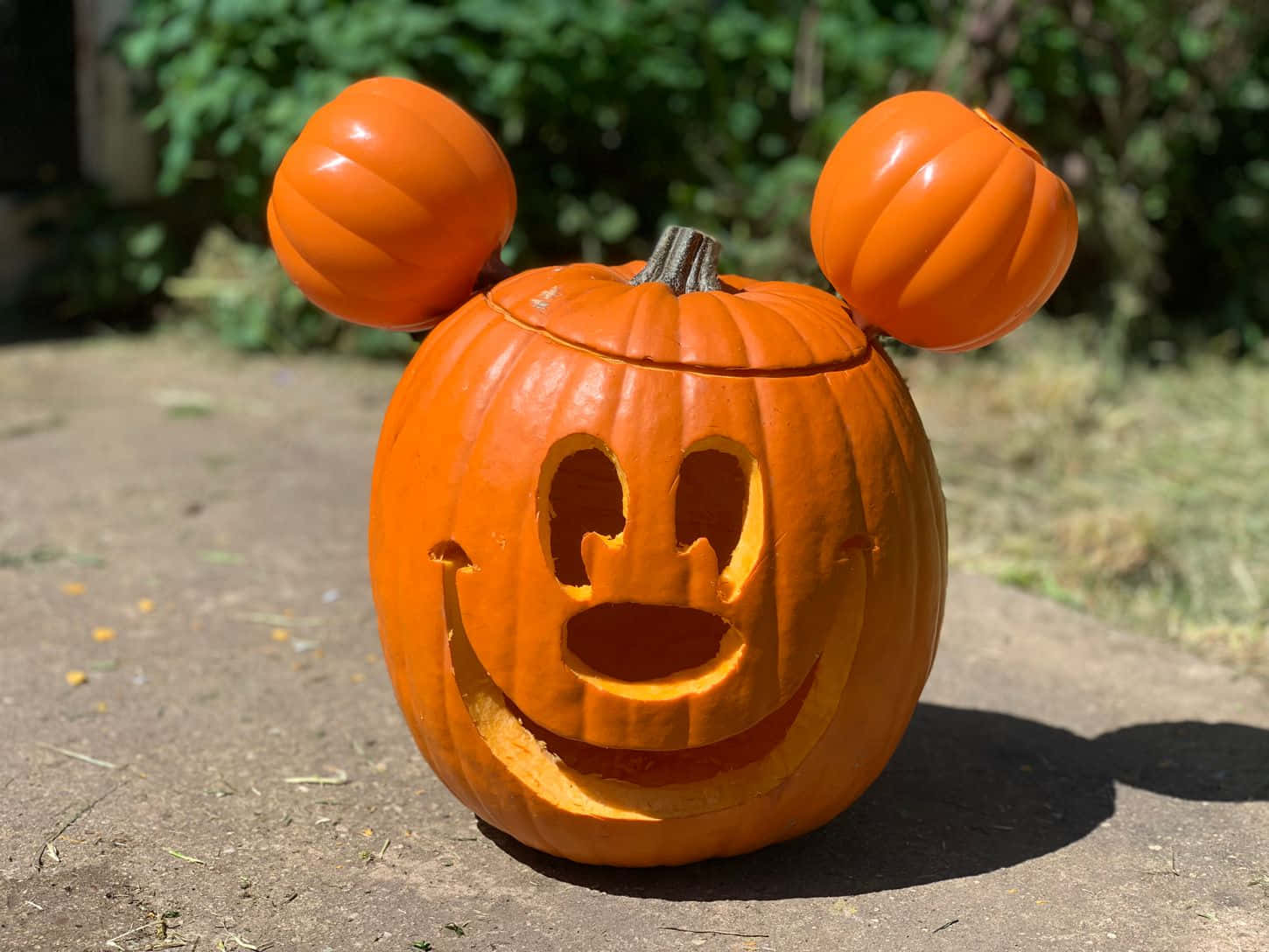 Fortryllende lysende Halloween-græskar Wallpapers