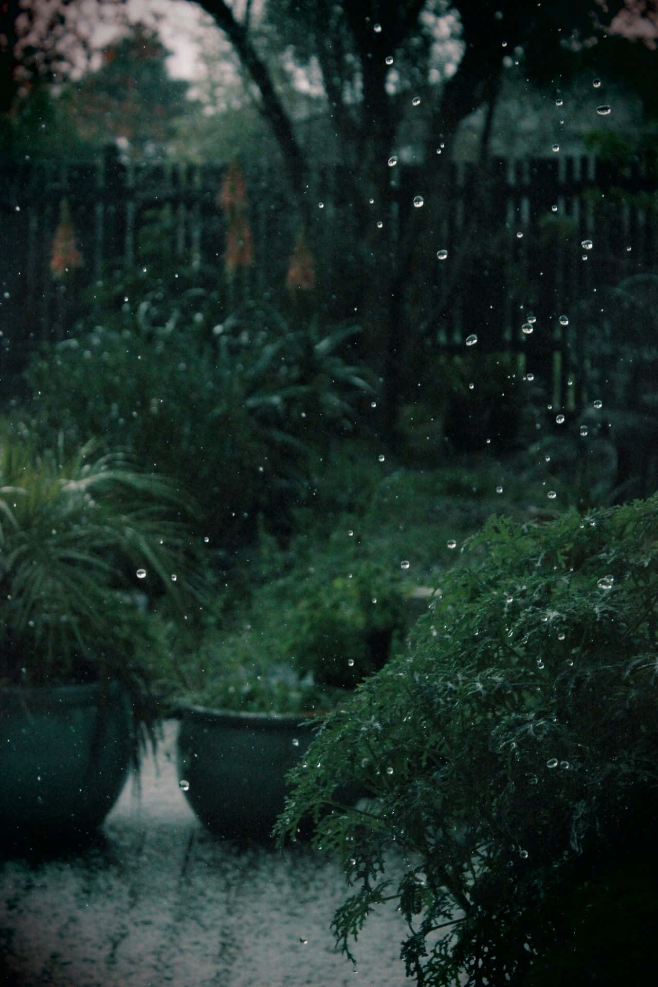 Fortryllende mørkegrøn æstetisk baggrund Wallpapers