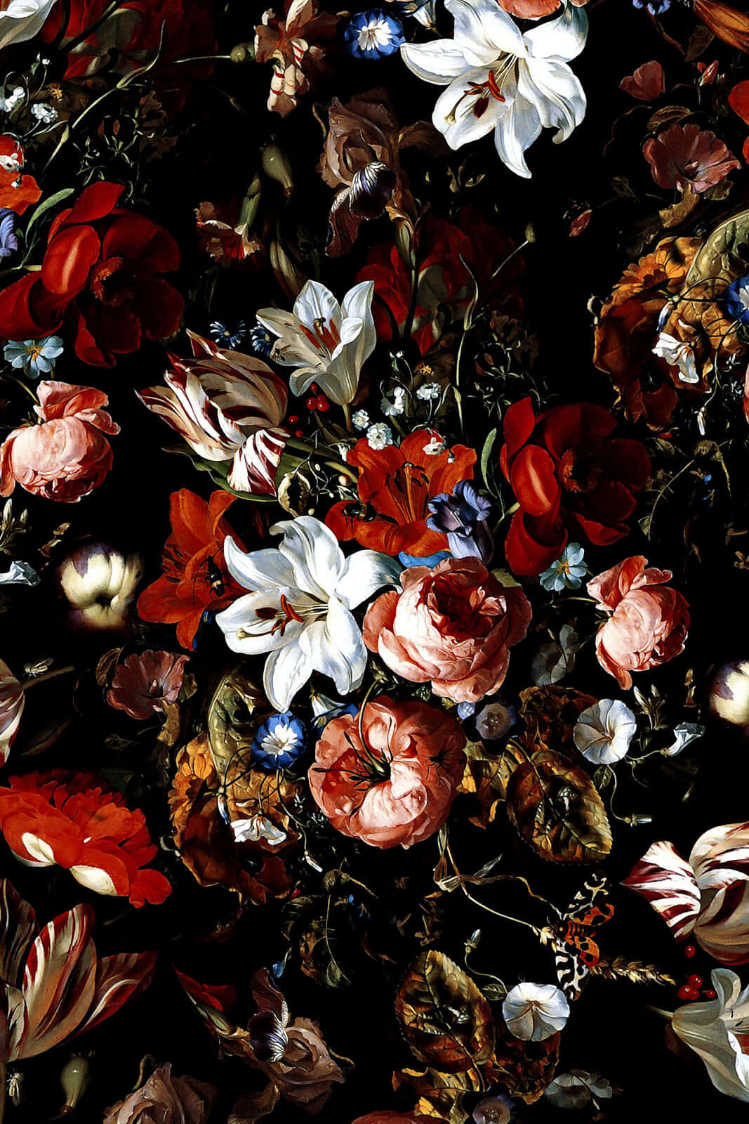 Fortryllende mørk blomsterbaggrund Wallpapers