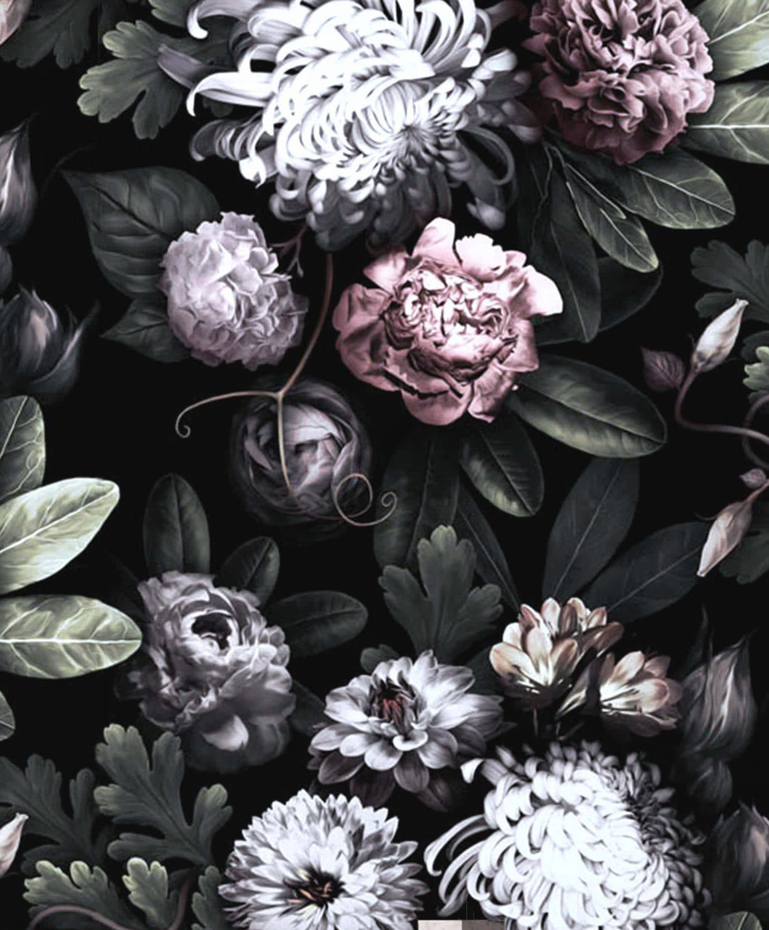 Fortryllende mørk blomsterbaggrund Wallpapers