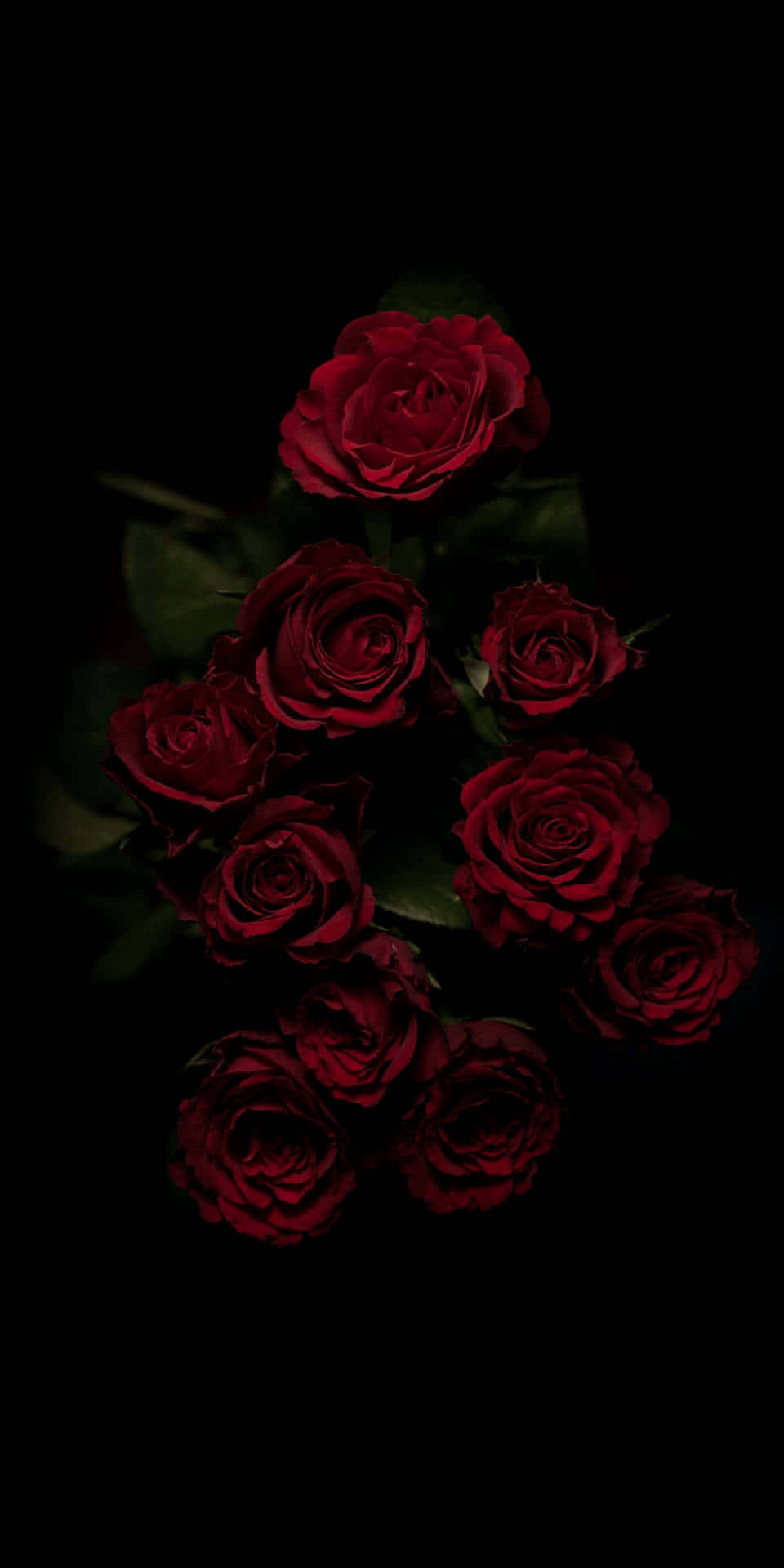 Fortryllende mørk blomsterbaggrund Wallpapers