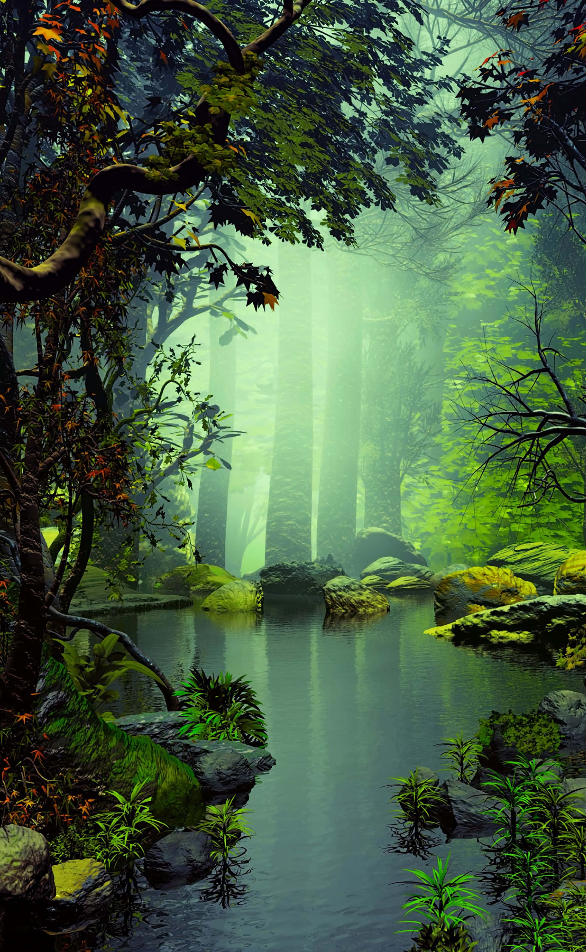 Fortryllende Skov Natur Android HD Wallpapers
