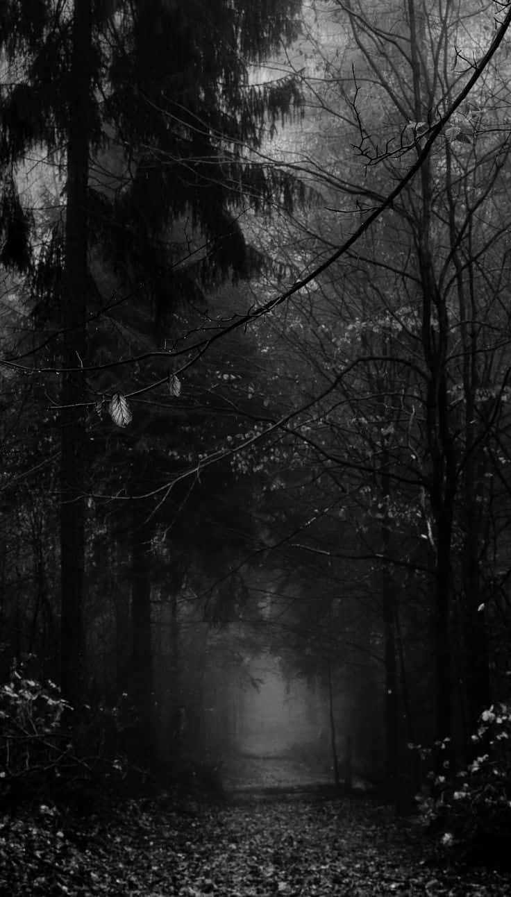 Foto Skiller sig ud, passer ikke ind Wallpapers