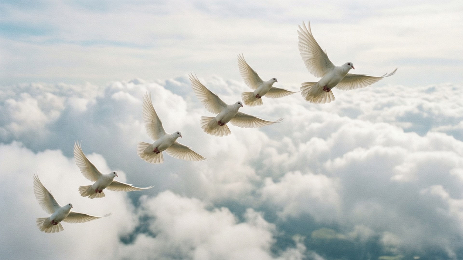 Fredens duer Wallpapers
