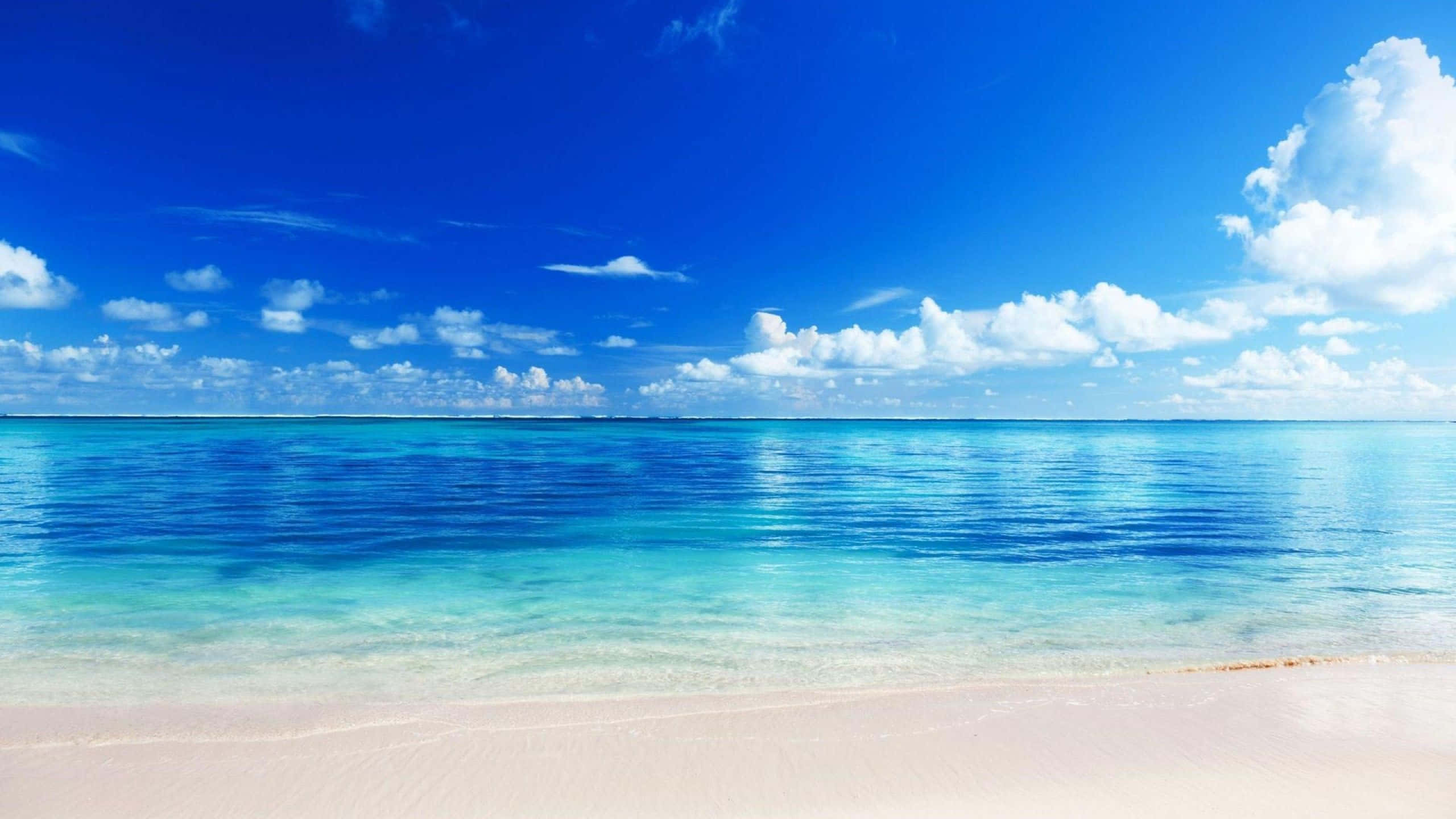 Fredfyldt havbaggrund og klar rolig himmel Wallpapers