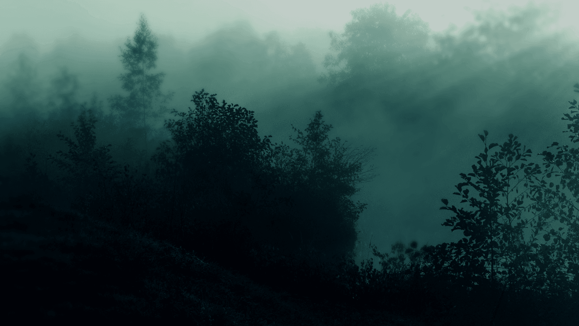 Fredfyldt ophold i skovens favn Wallpapers