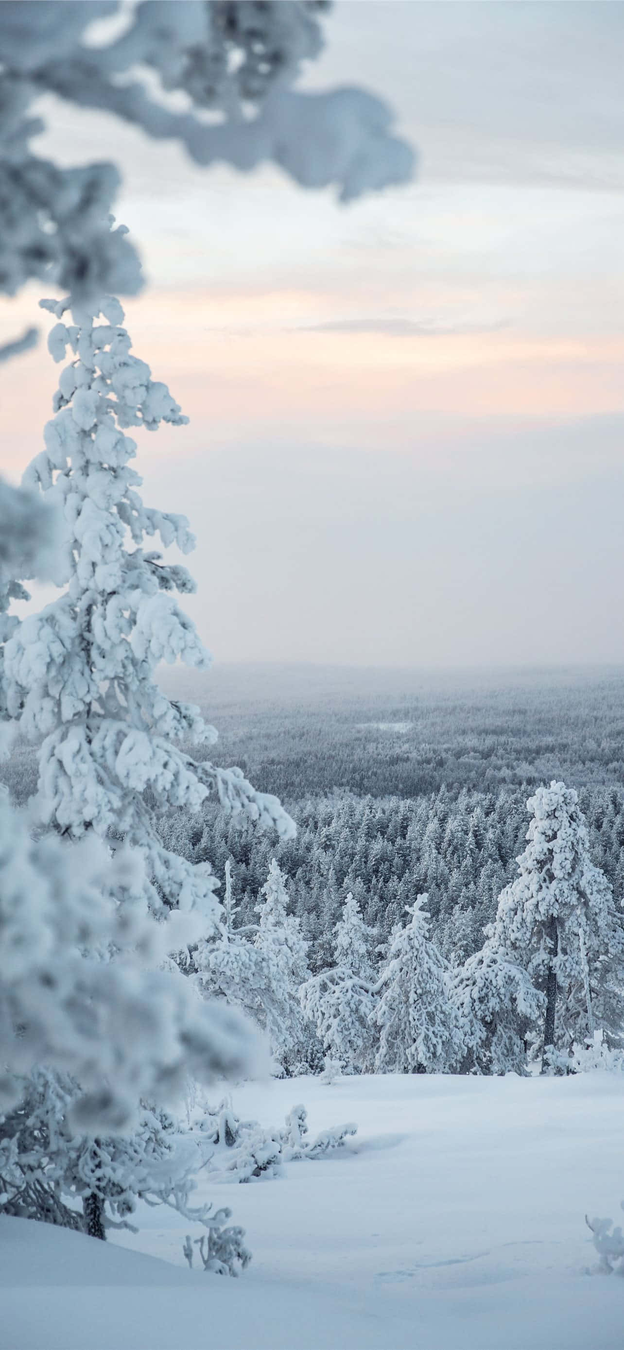 Fredfyldt sne panorama Wallpapers