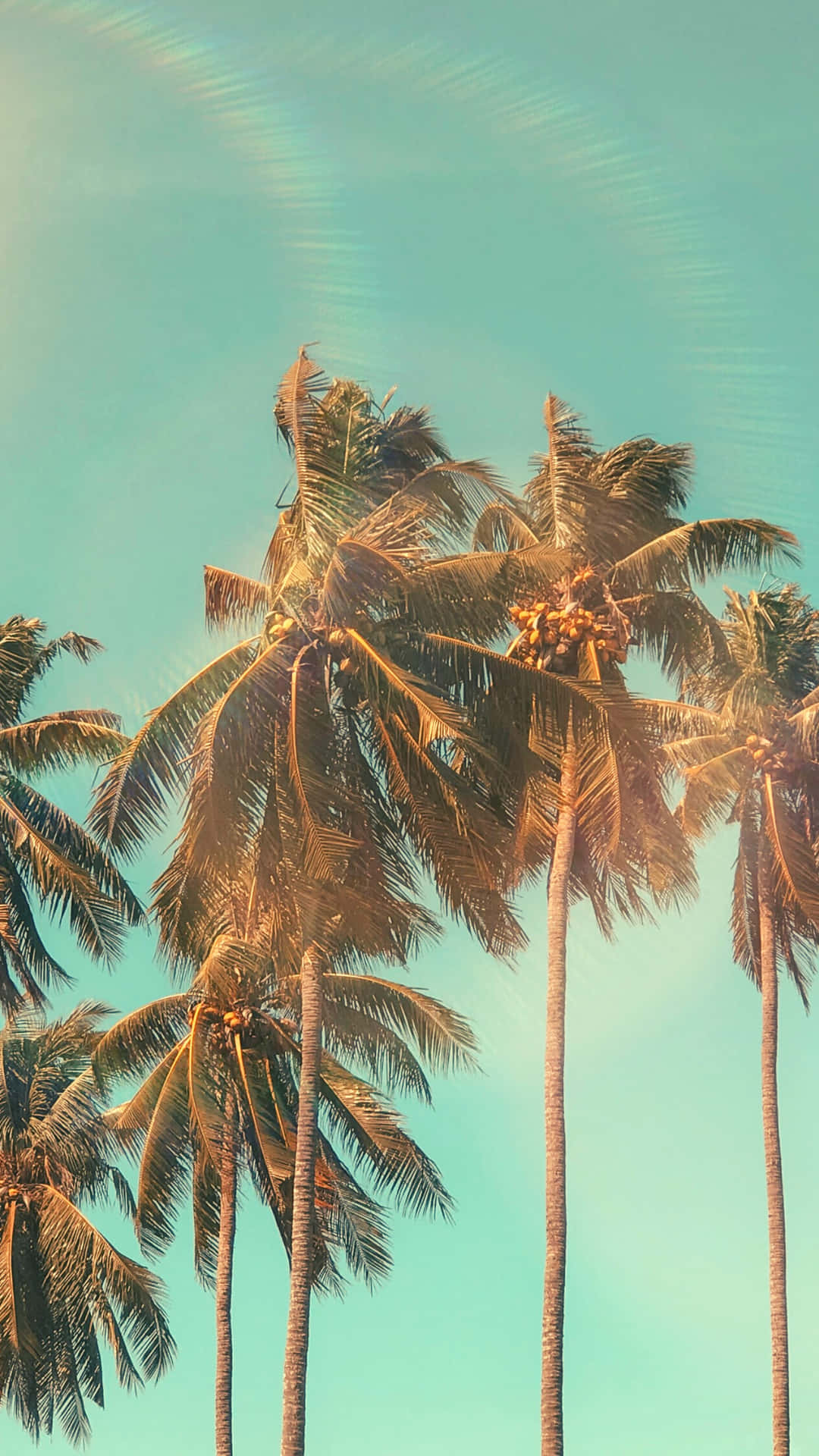 "Fredfyldt sommerflugt" Wallpapers