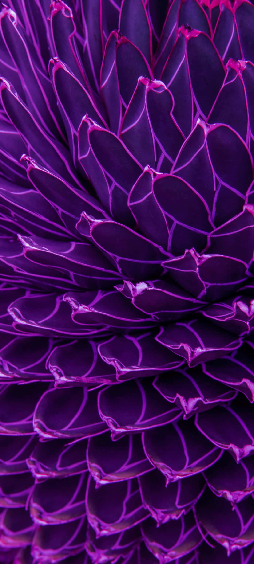 Fredfyldt søudsigt med frodige træer og skyer på himlen Wallpapers
