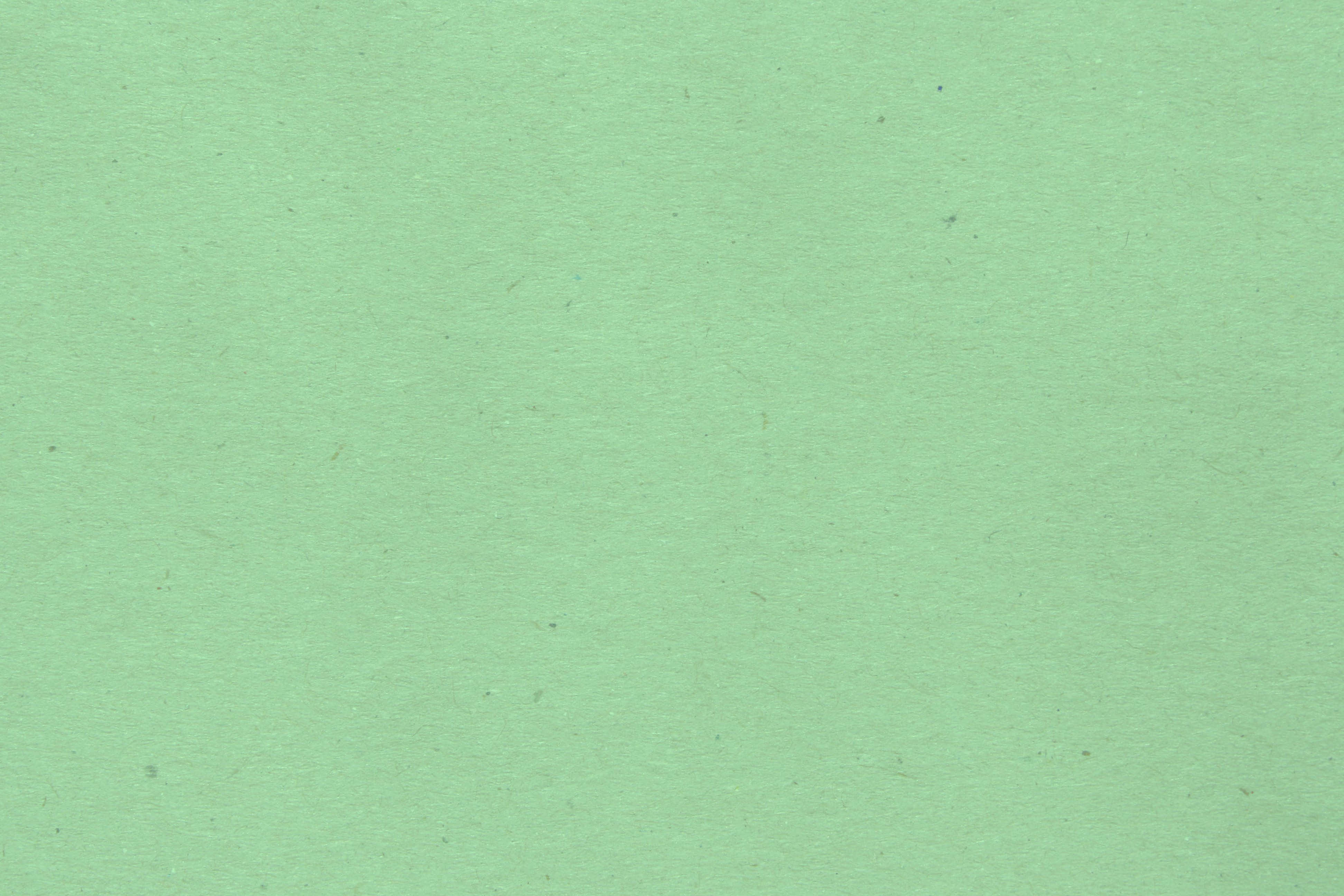 Fresh Cut Of Mint Leaves Wallpapers