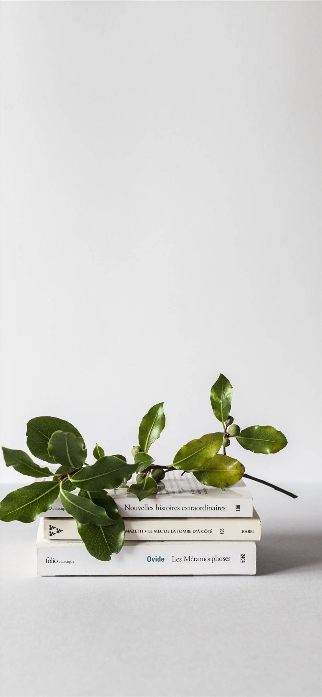 Frisk din væg op med et billede af planter! Wallpapers
