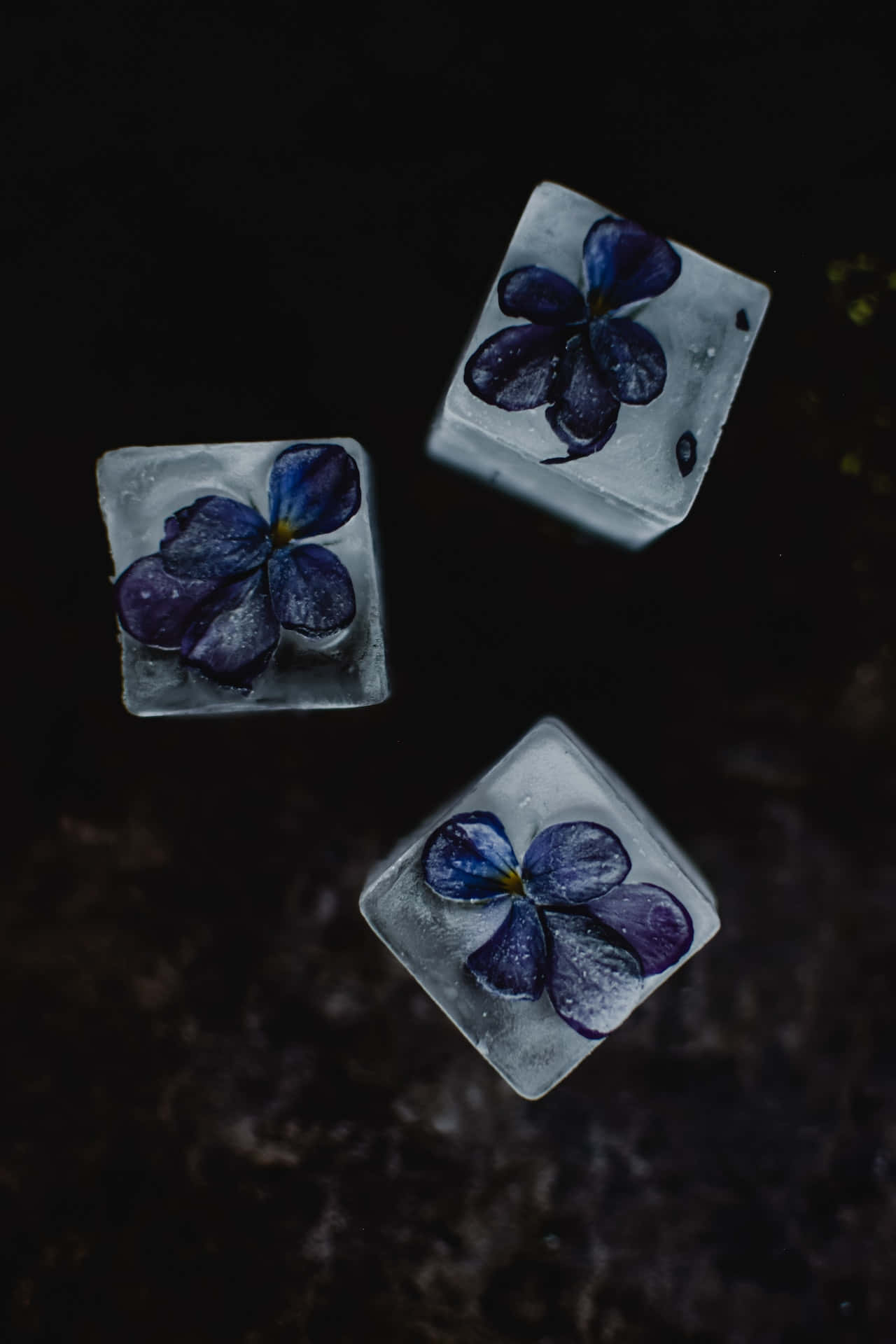 Frosne blå blomster telefon Wallpapers