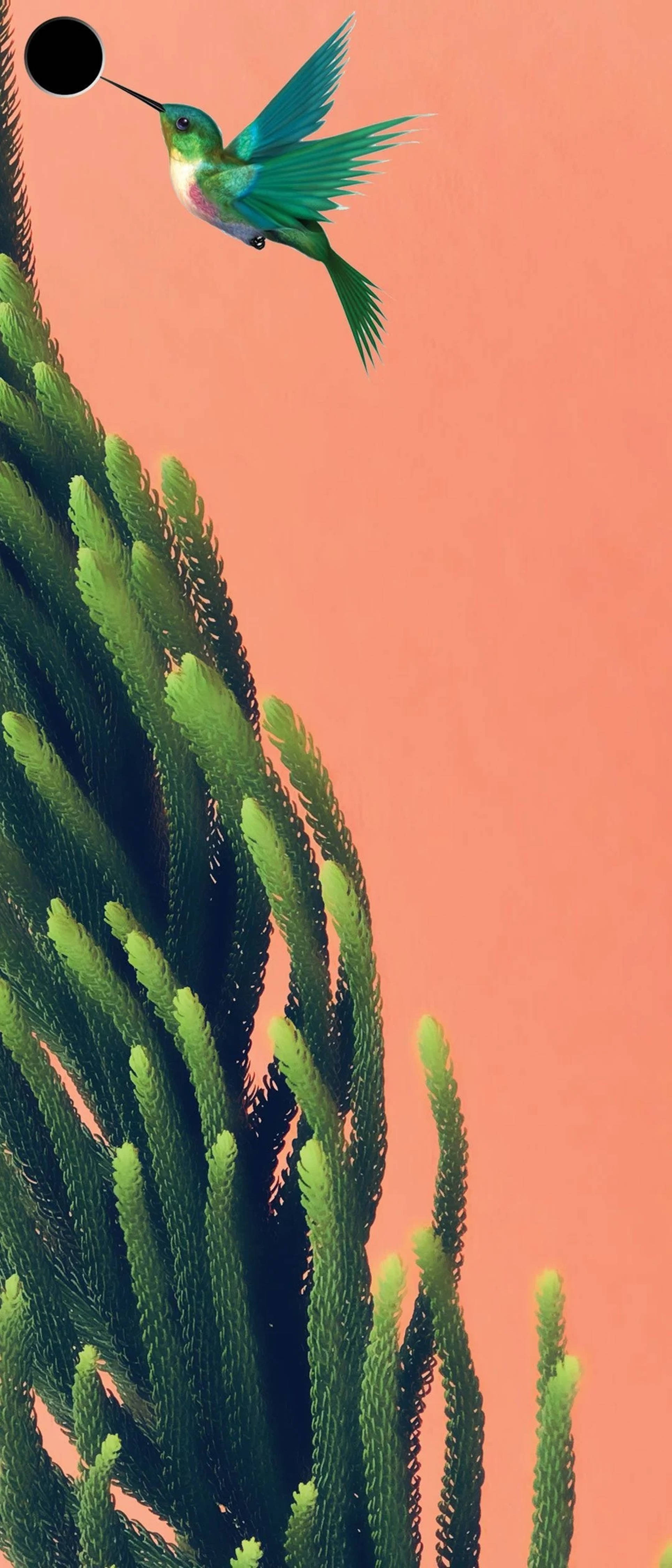 Fugl og Planter Hulstans 4K Wallpapers