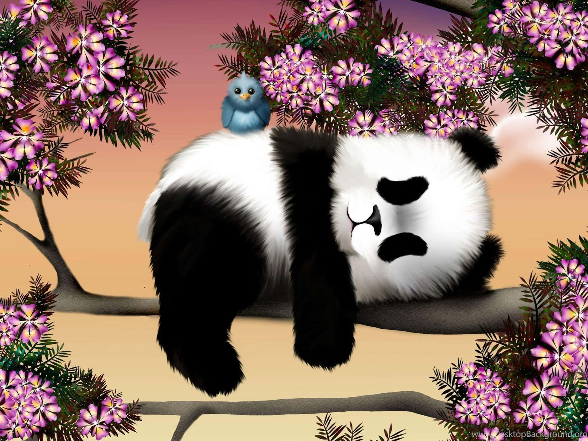 Fugl på en panda-laptop Wallpapers