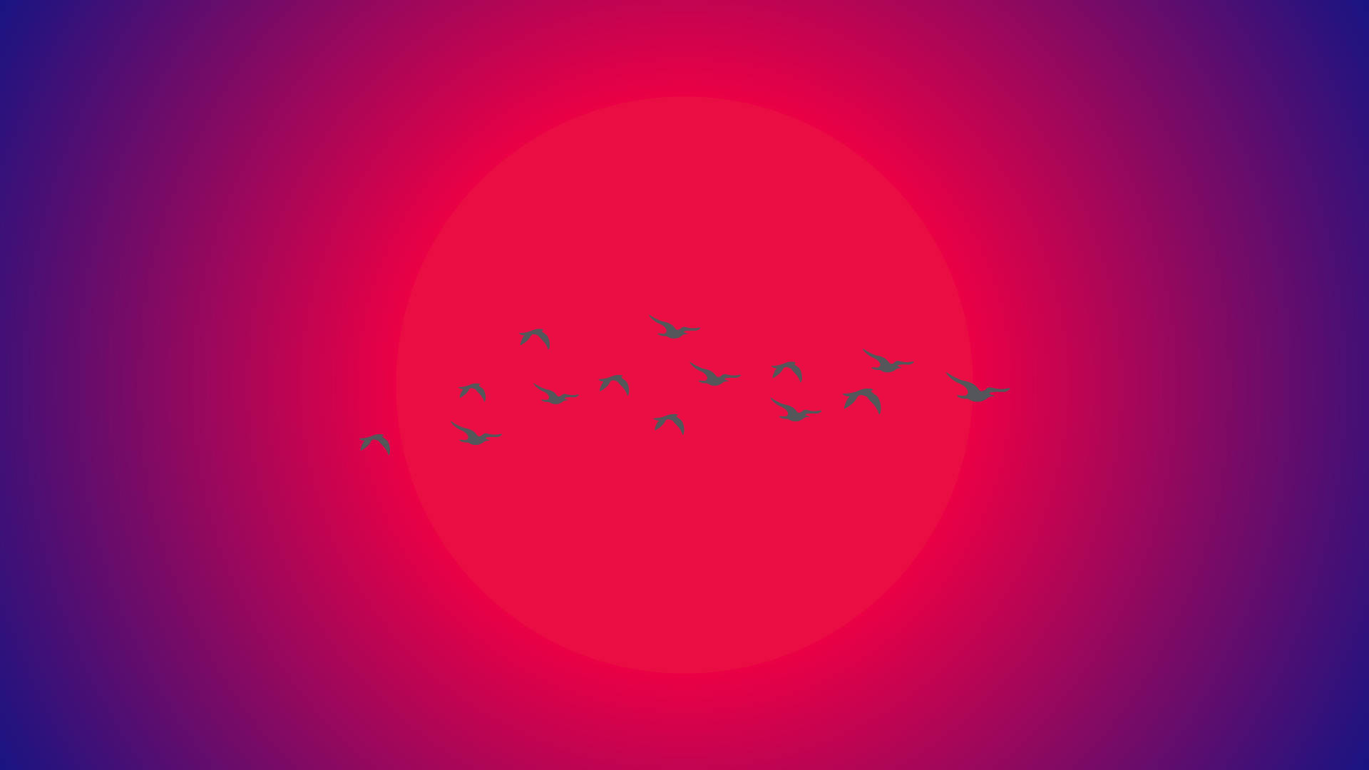 Fugle flyver mod solen minimalistisk æstetisk laptop Wallpapers