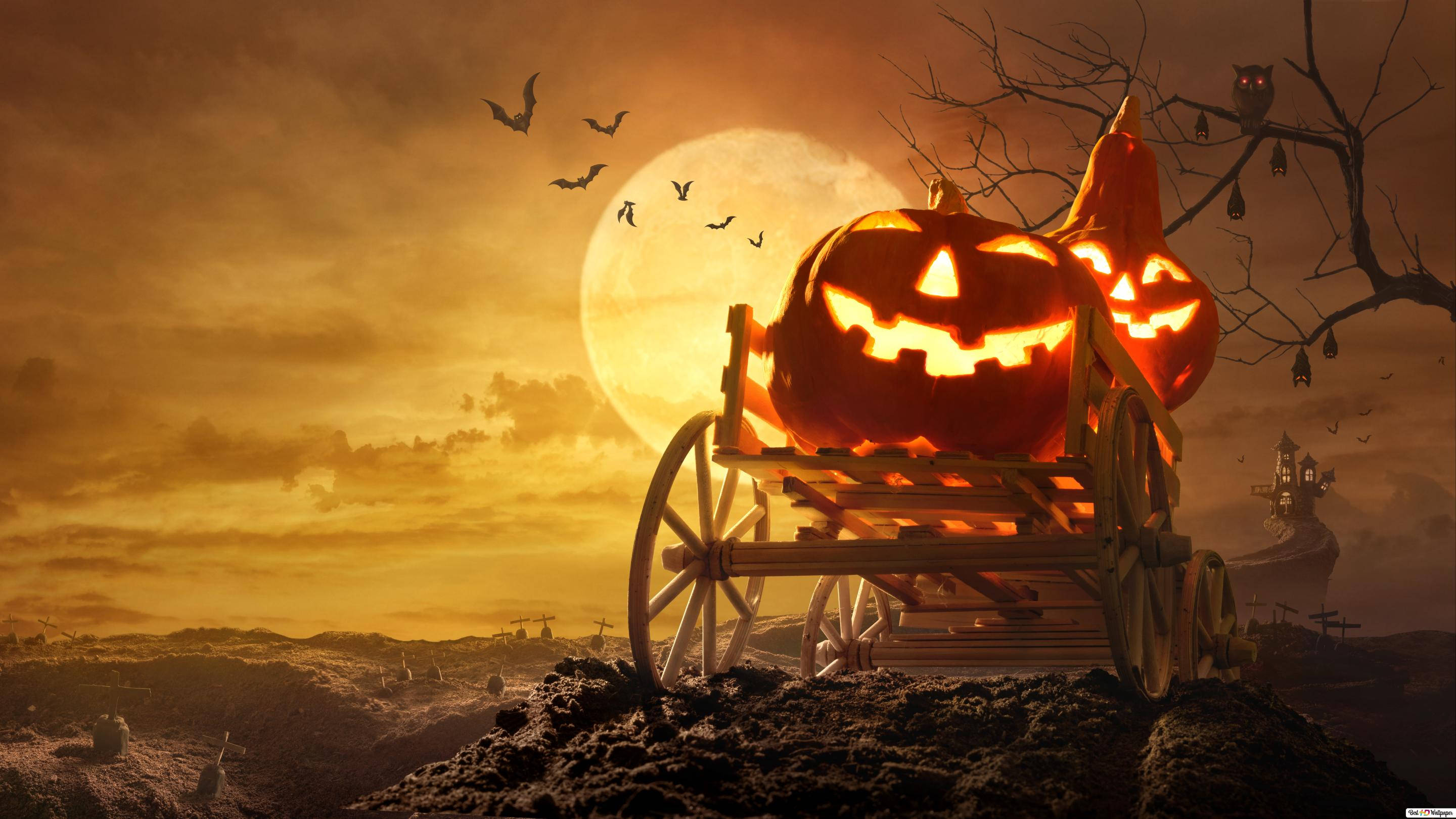 Fuldmåne Græskar Halloween iPhone Wallpapers