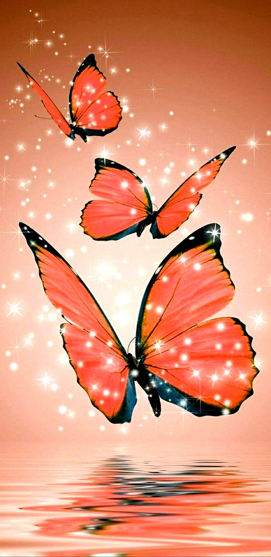 Funklende æstetisk orange sommerfugl Wallpapers