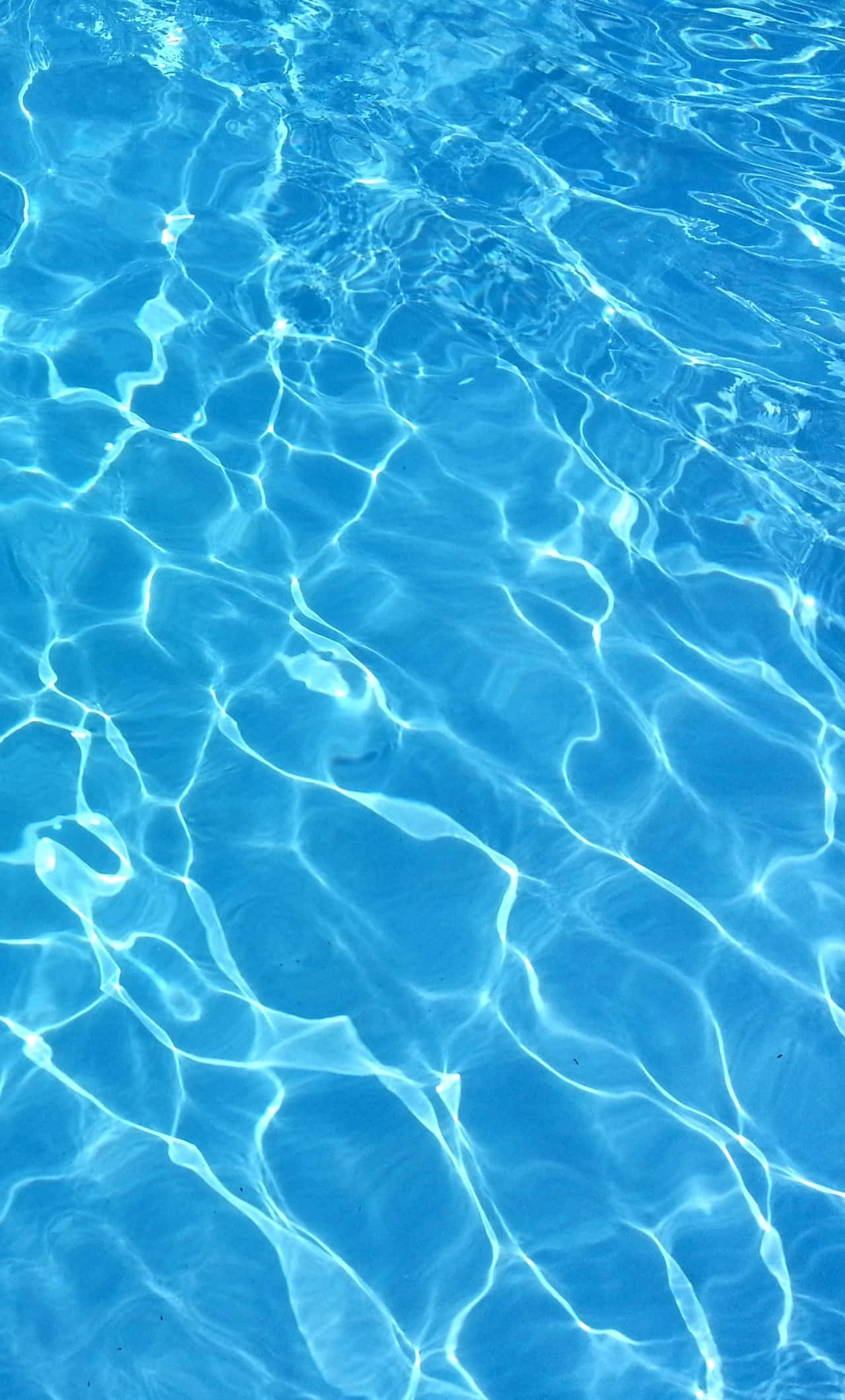 Funklende blåt poolvand på en solskinsdag Wallpapers
