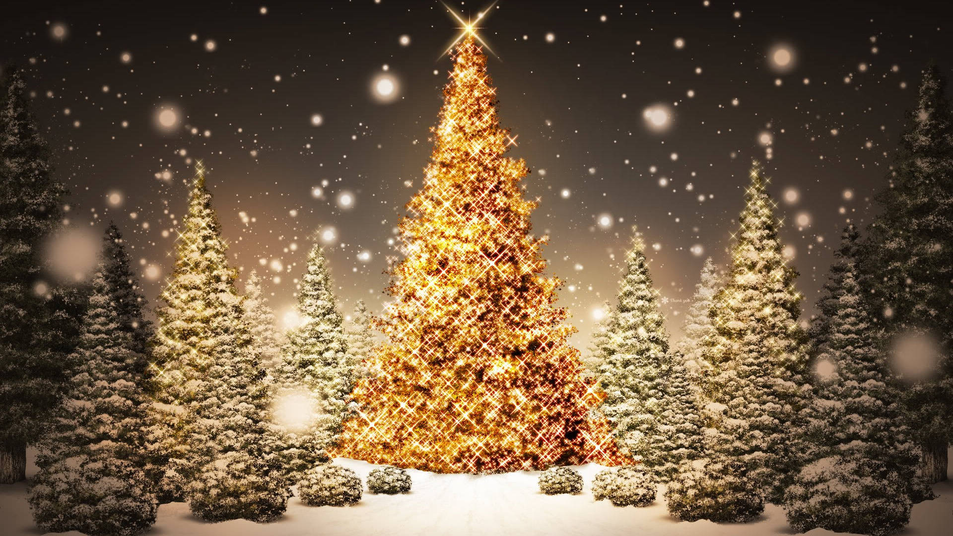 Funklende og smukke juletræer Wallpapers
