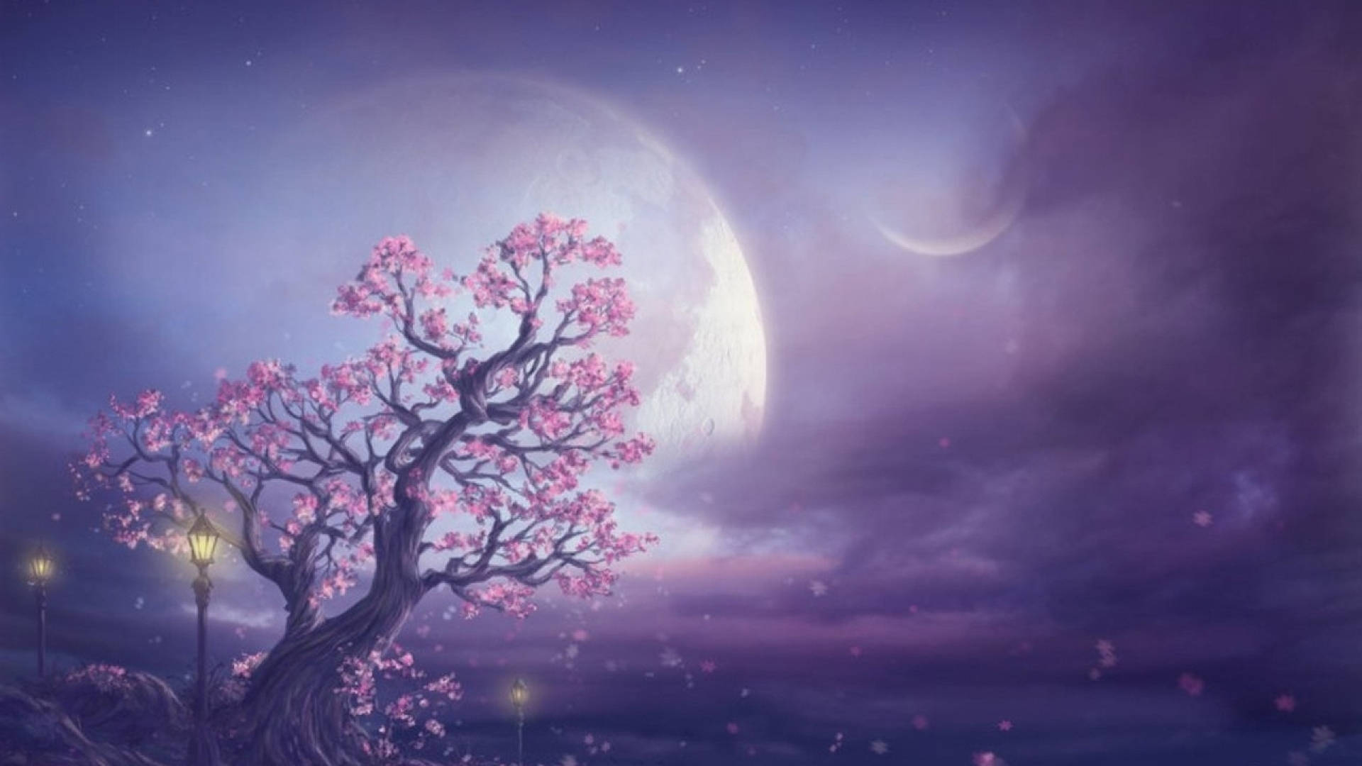 Galaksemåne og Kirsebærblomsttræ Wallpapers