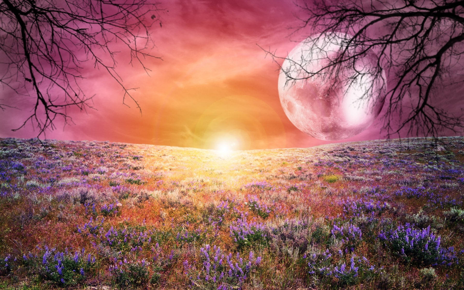 Galaktisk måne og blomstereng Wallpapers