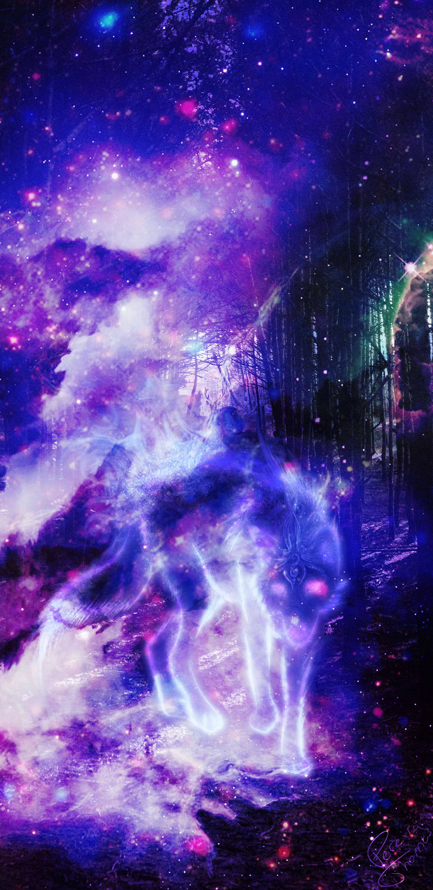 Galaktisk ulv i skov illustration Wallpapers