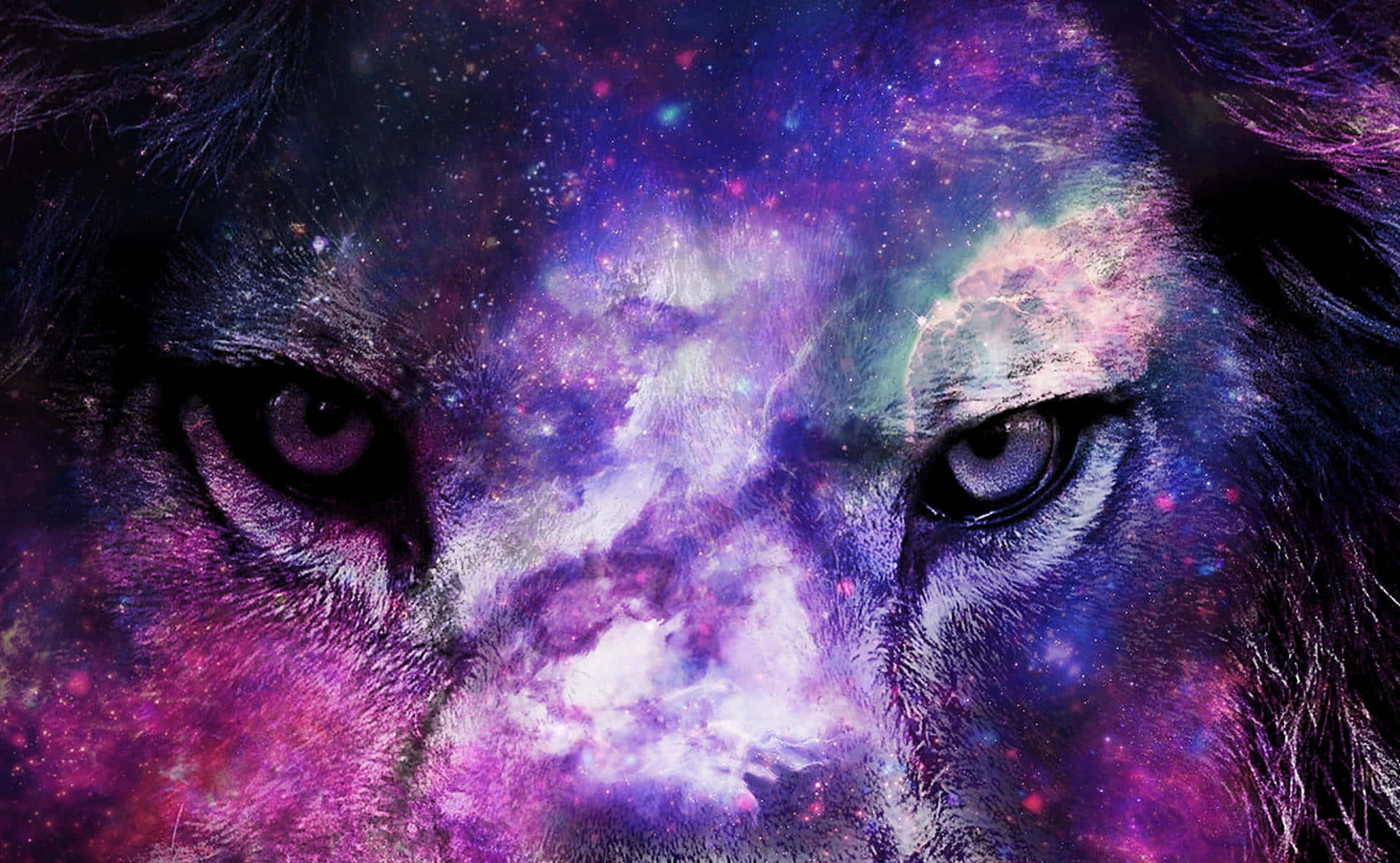 Galaxy Lion baggrund Wallpapers