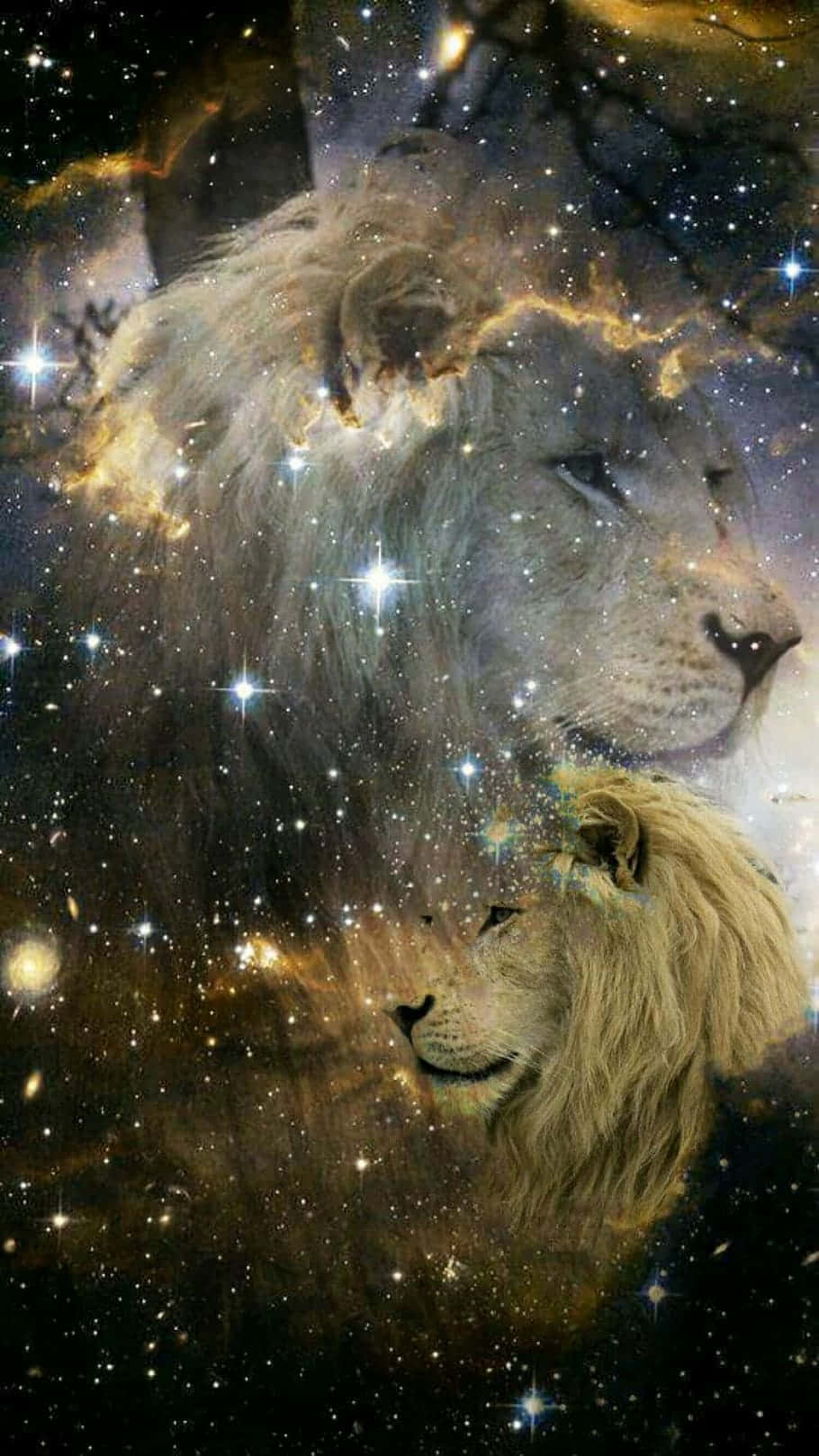Galaxy Lion baggrund Wallpapers