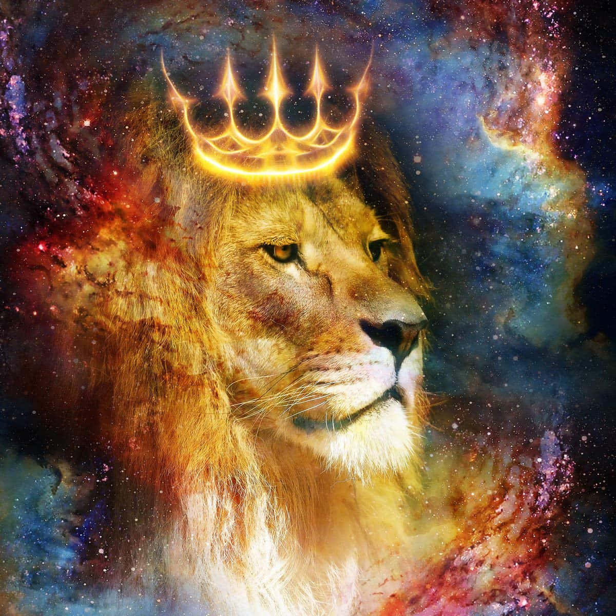 Galaxy Løve baggrund Wallpapers