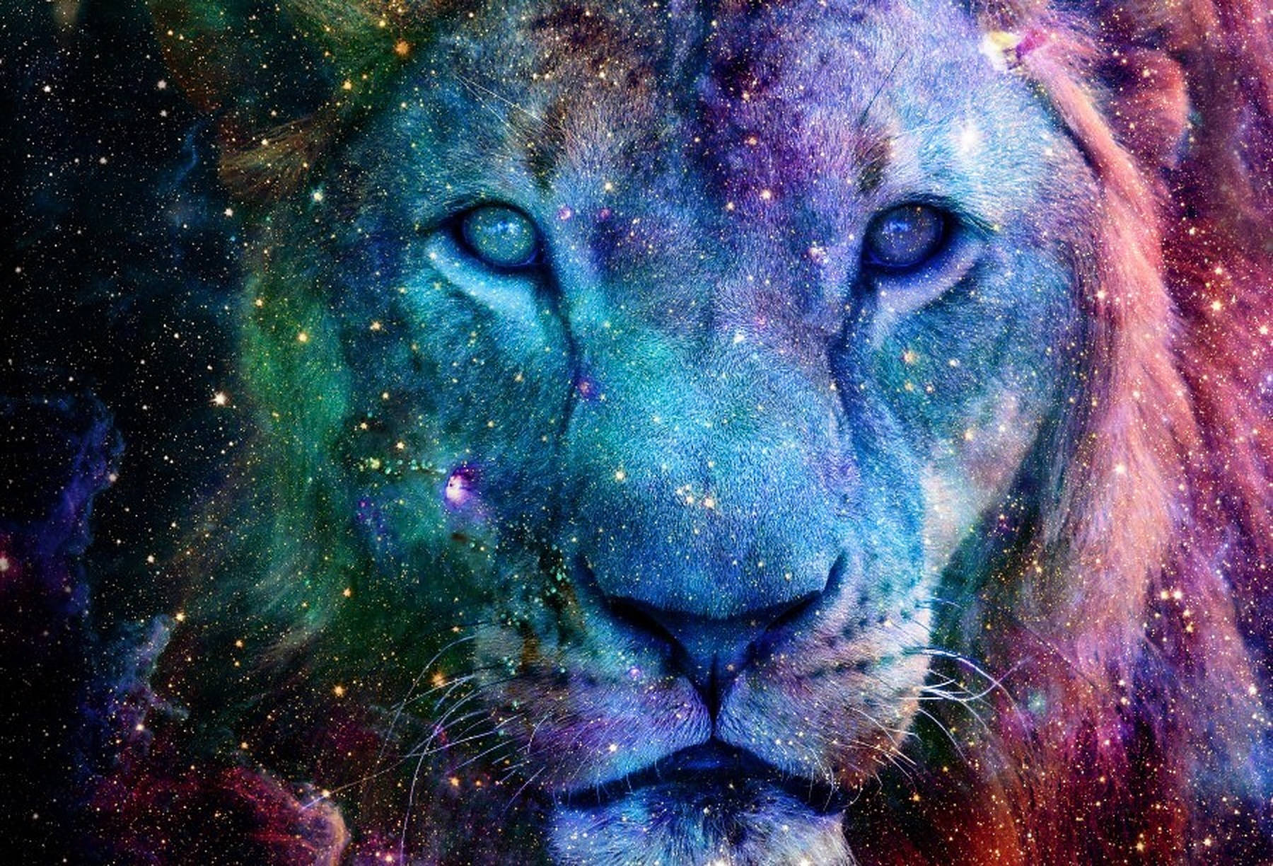 Galaxy Løve Portræt Wallpapers