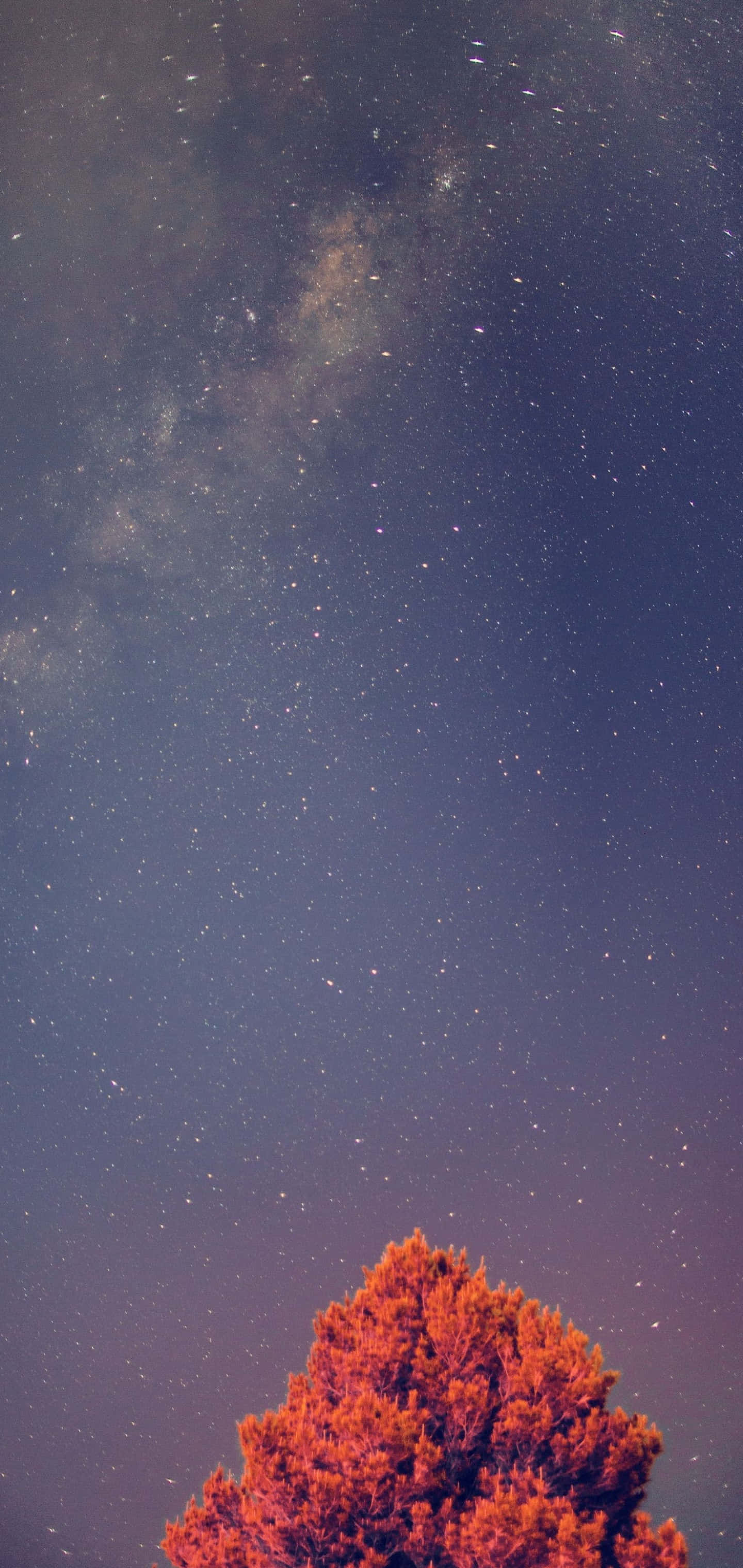 Galaxy S10 Plus baggrund Wallpapers