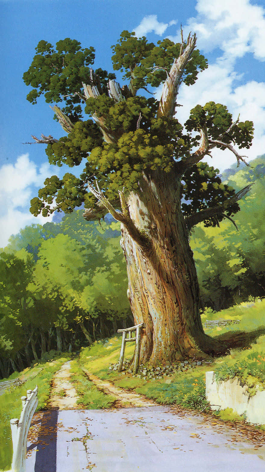 Gammelt Træ Studio Ghibli Telefon Wallpapers