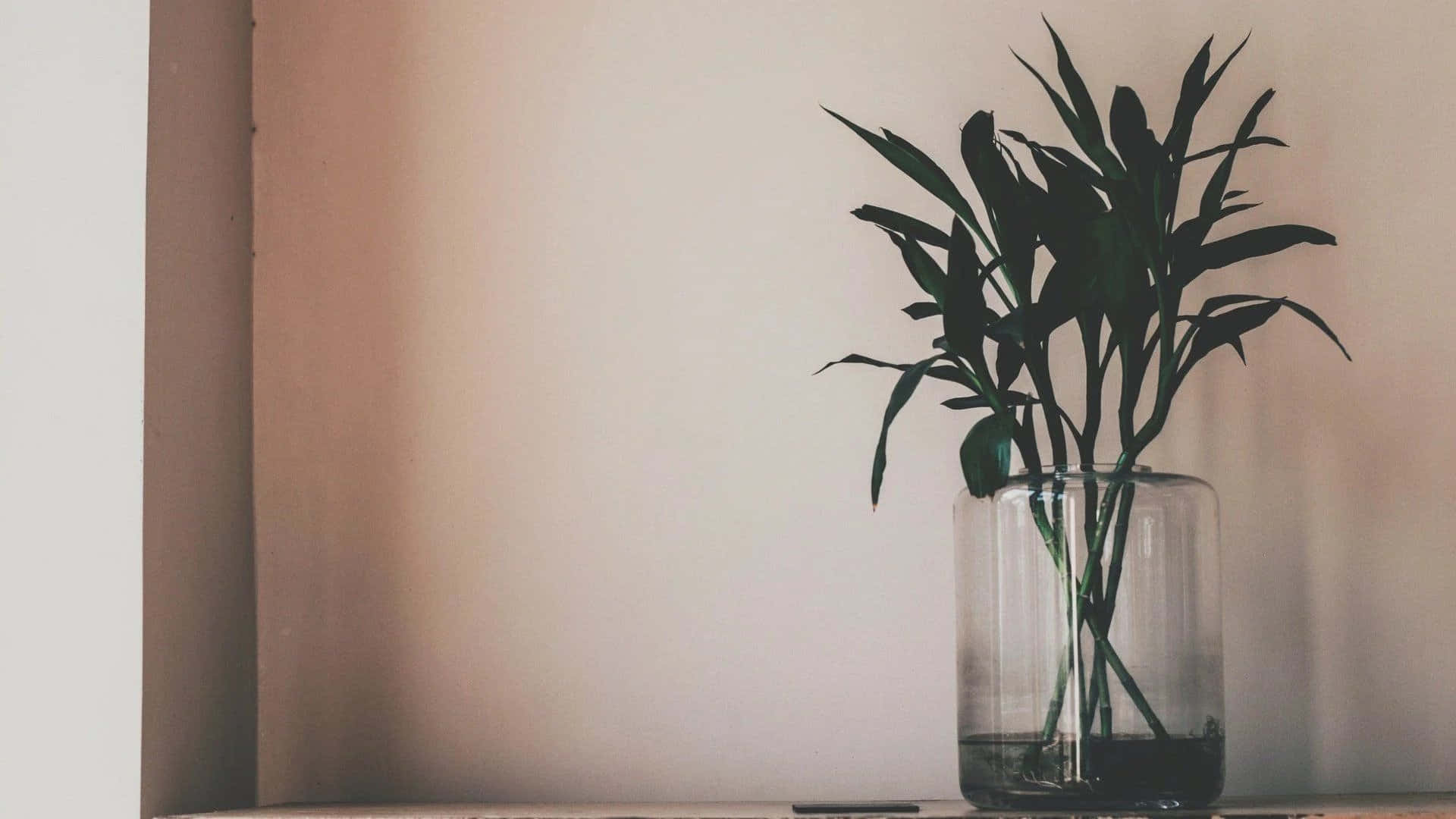 Genopfinds minimalismen: æstetisk og praktisk Wallpapers