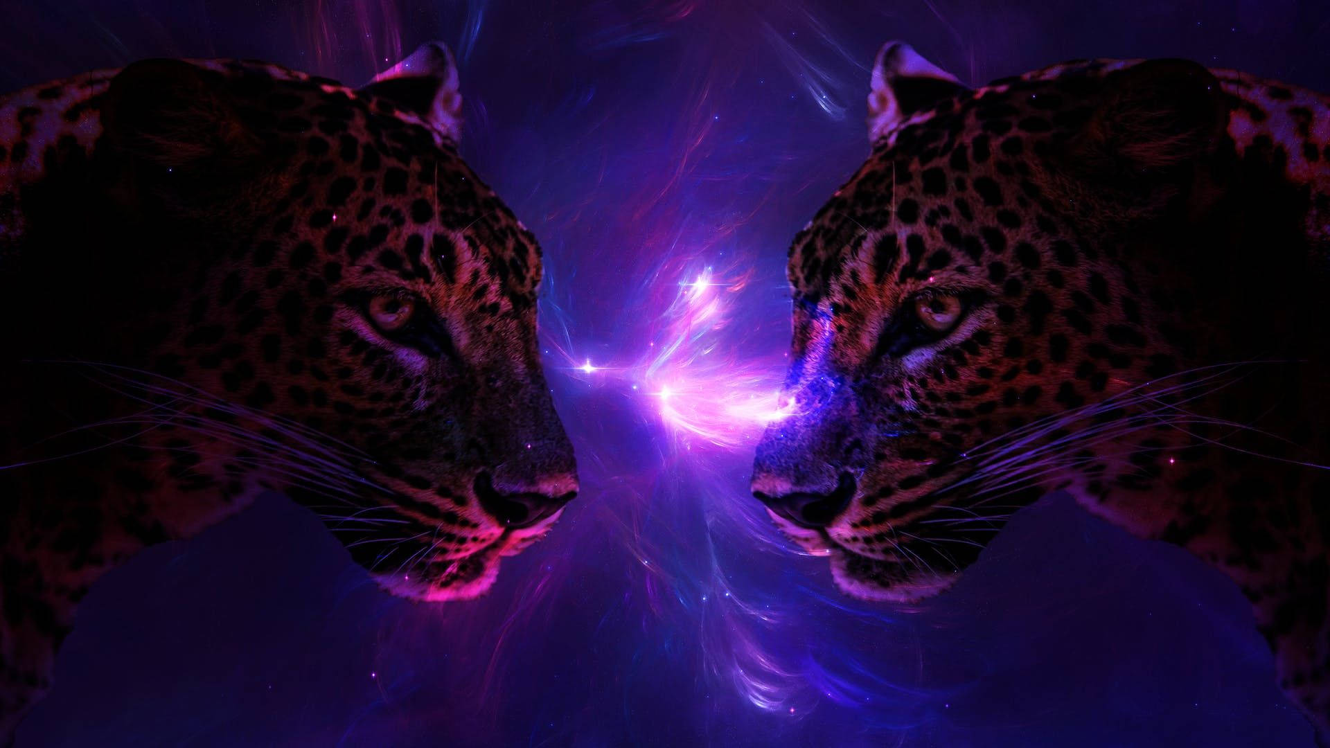 Geparder i et sødt univers Wallpapers