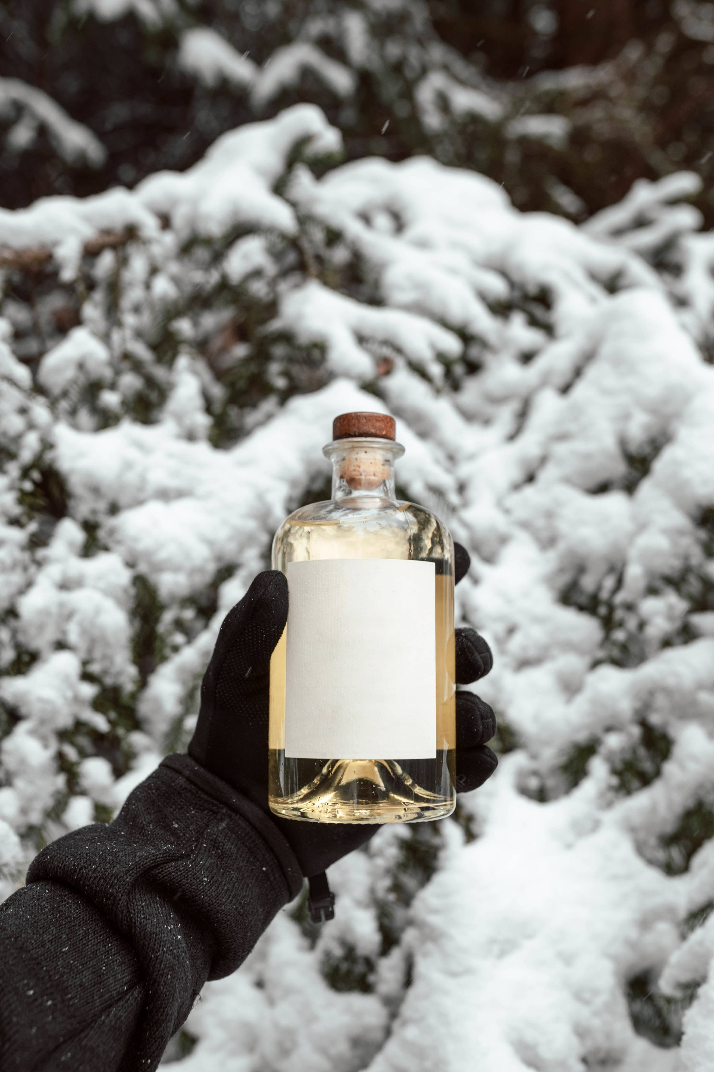 Gin på Sne Wallpapers