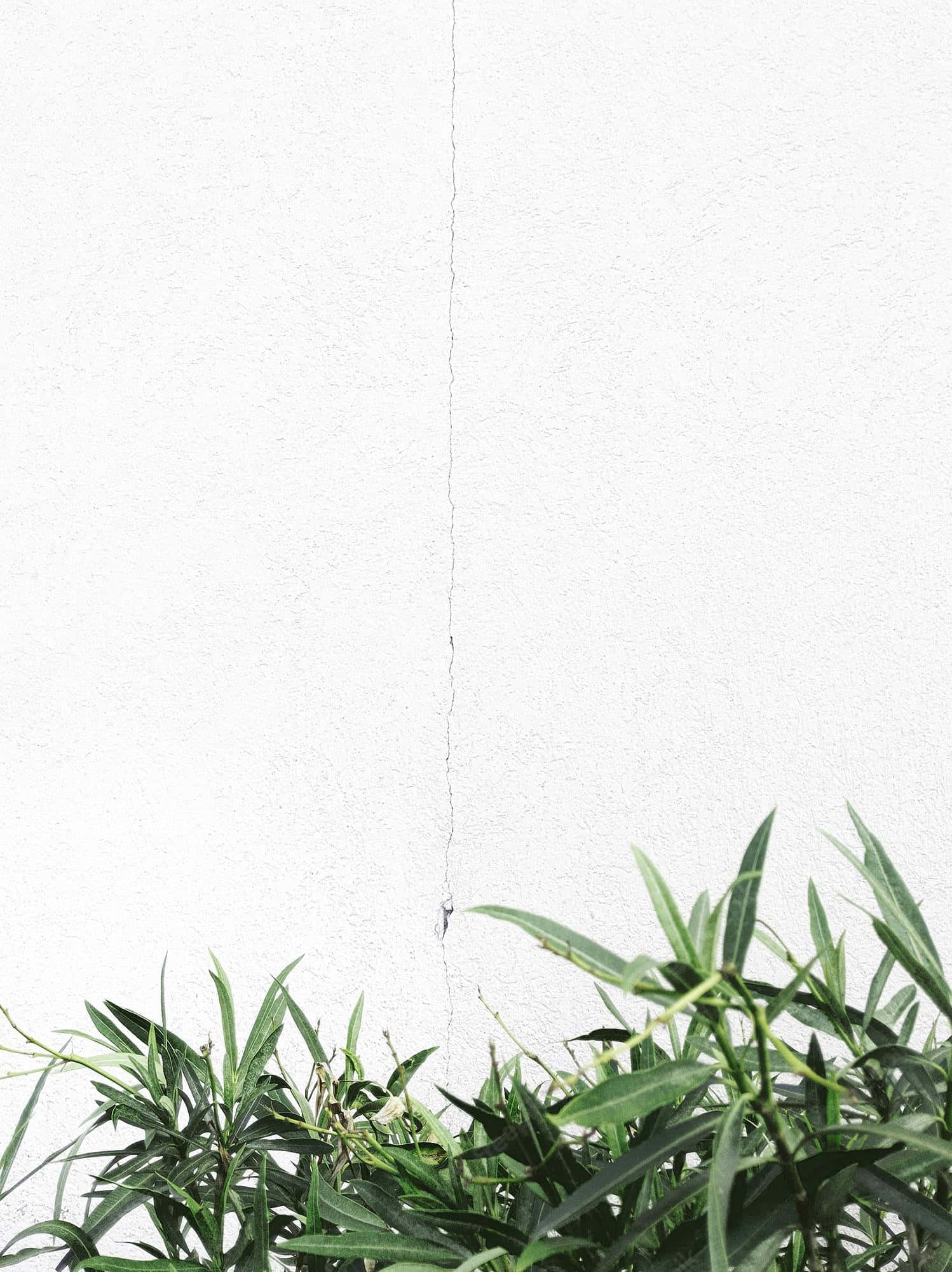 "Giv dit rum et friskt minimalistisk udtryk med denne kunstneriske baggrund" Wallpapers