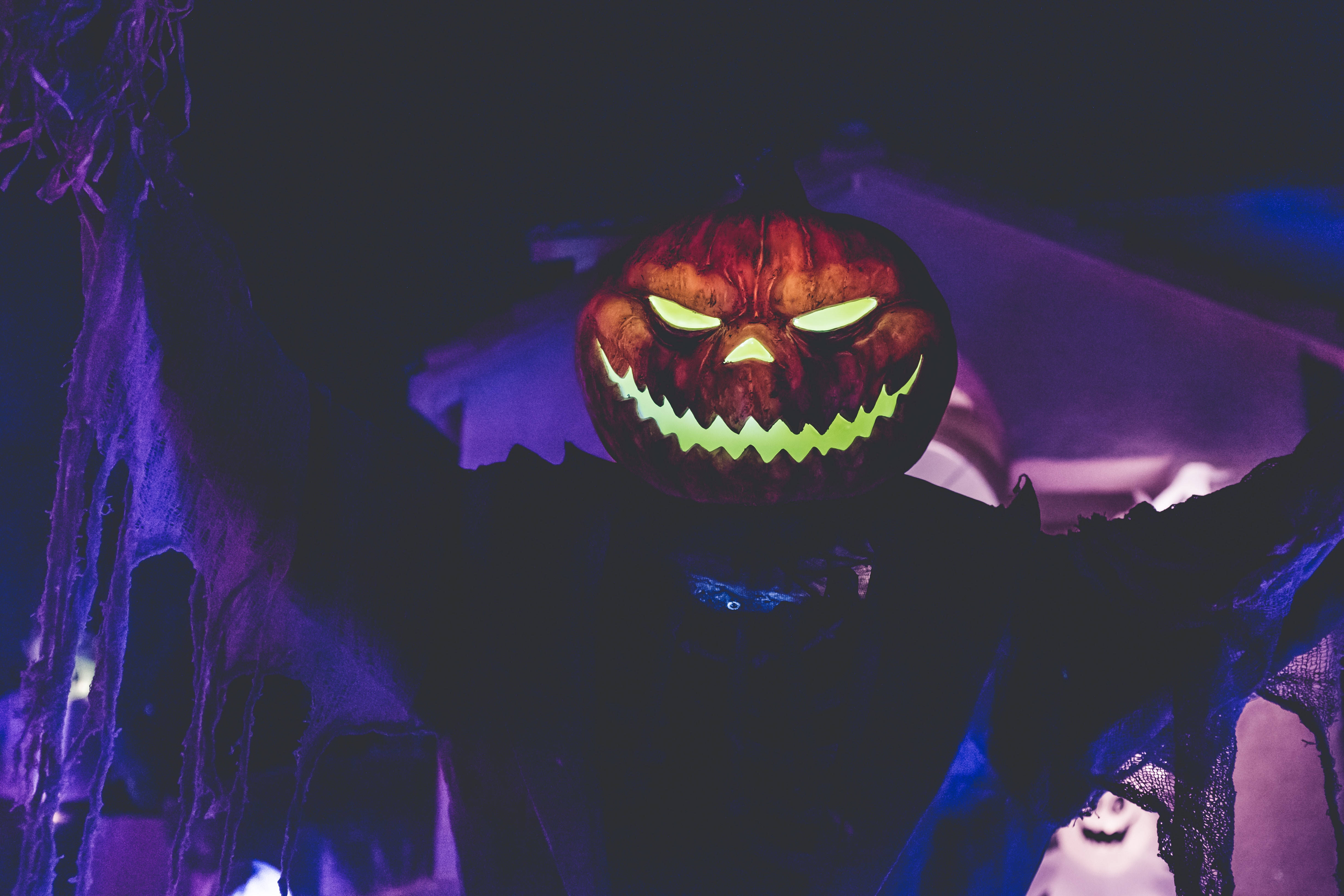 Glad græskarhoved til Halloween Wallpapers