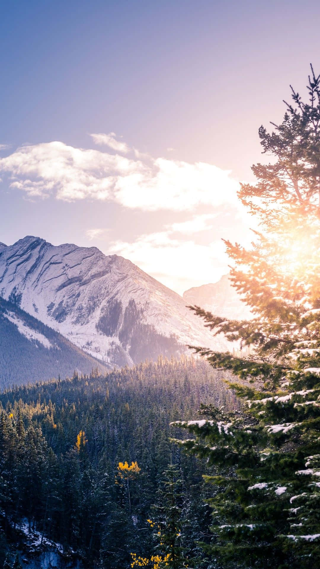 Glat og slankt design af iPhone 8 Plus Wallpapers