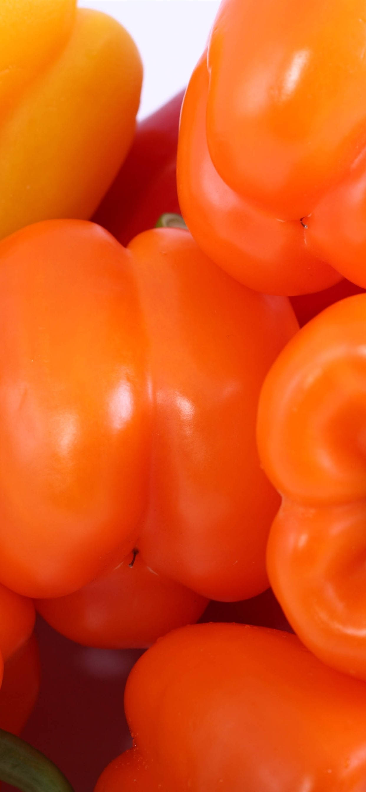 Glatte Orange Paprika Wallpapers