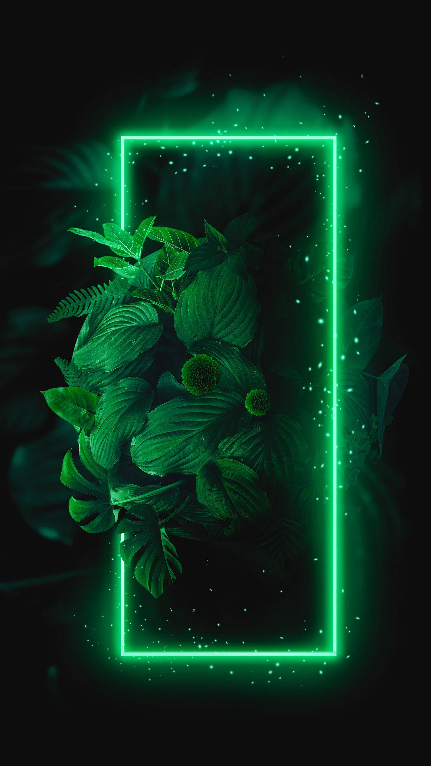 Glødende Ramme med Planter Grøn iPhone Wallpapers