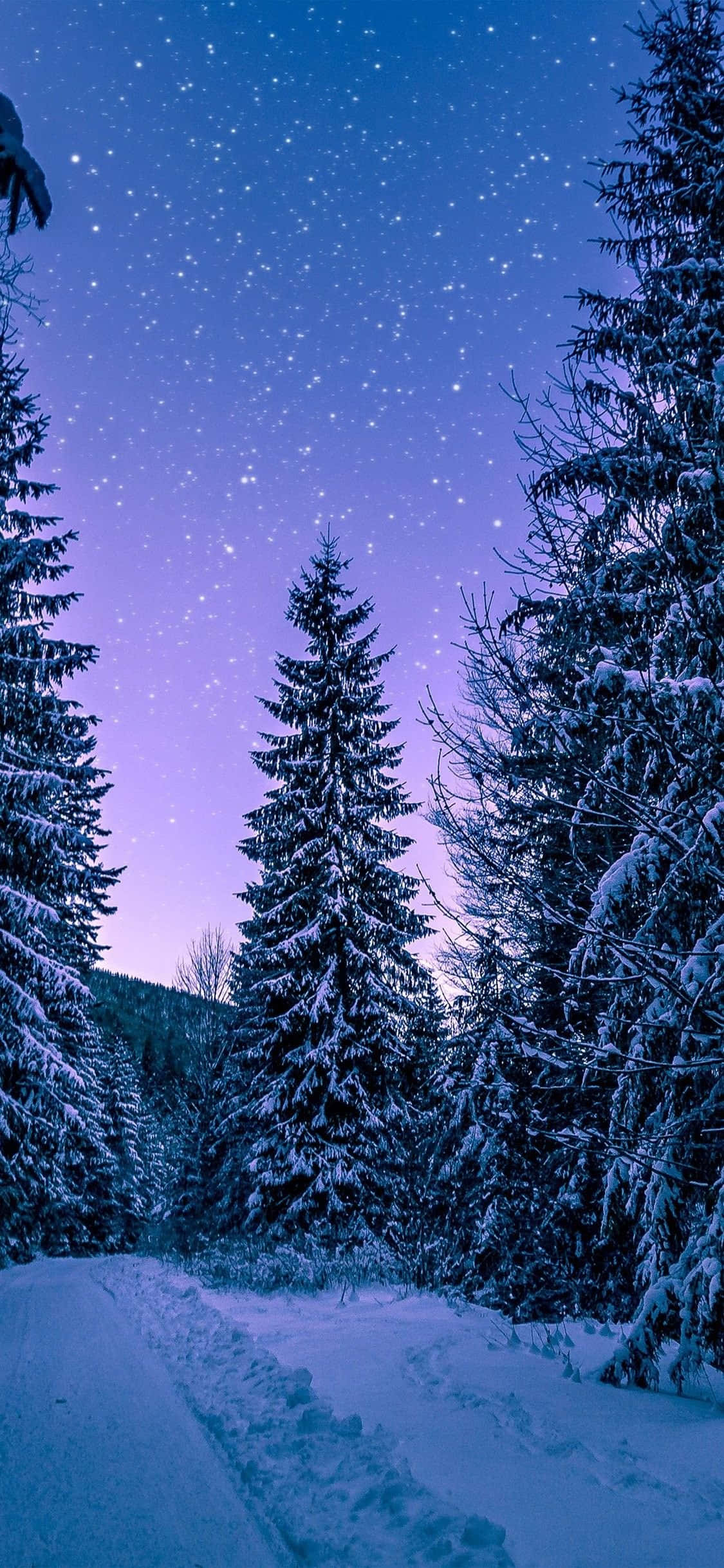 Gør dig klar til iPhone 11. Wallpapers