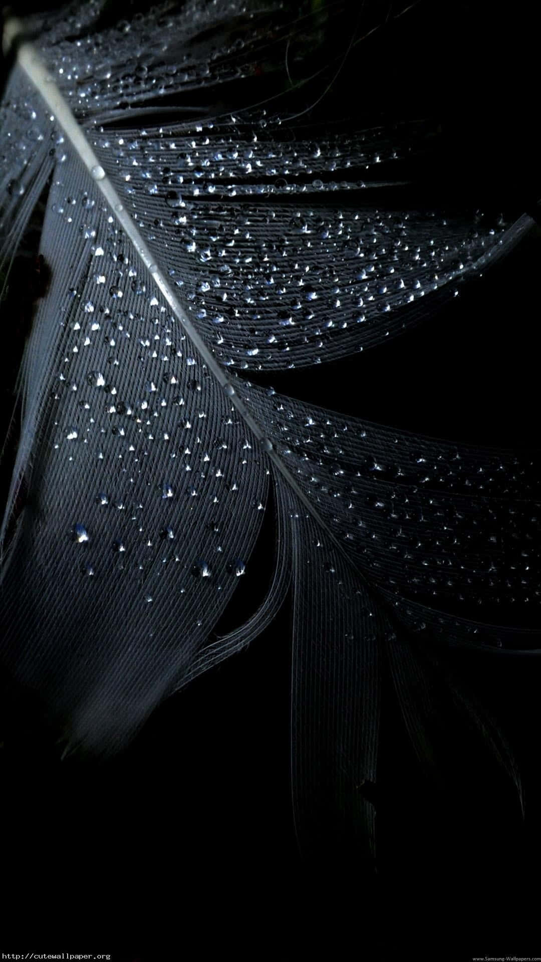 Gør dig klar til den nye iPhone 13 Wallpapers