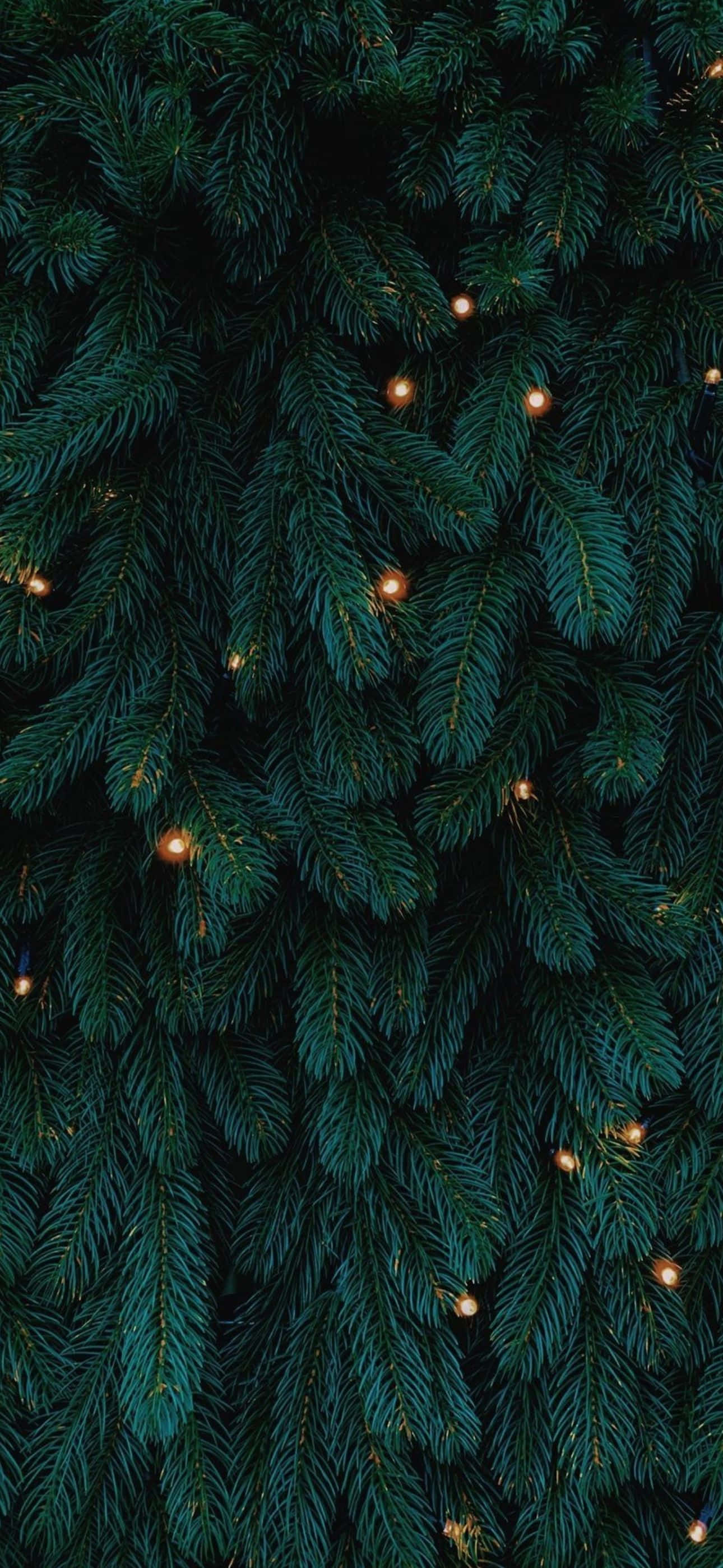 Gør din iPhone festlig denne jul! Wallpapers