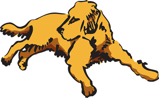 Golden Retriever Silhuet Grafik Wallpapers