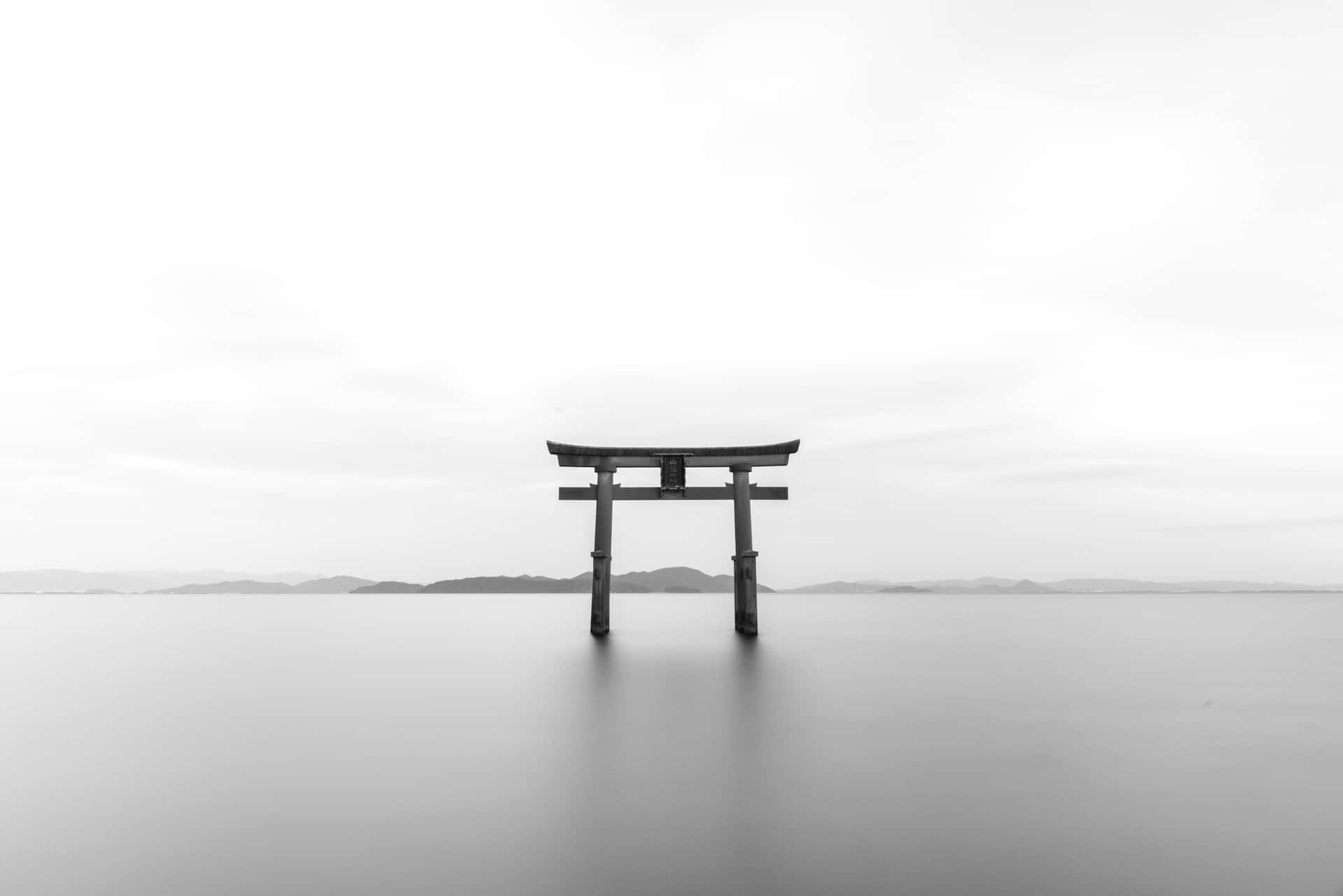 Grå æstetik i dagevis. Wallpapers