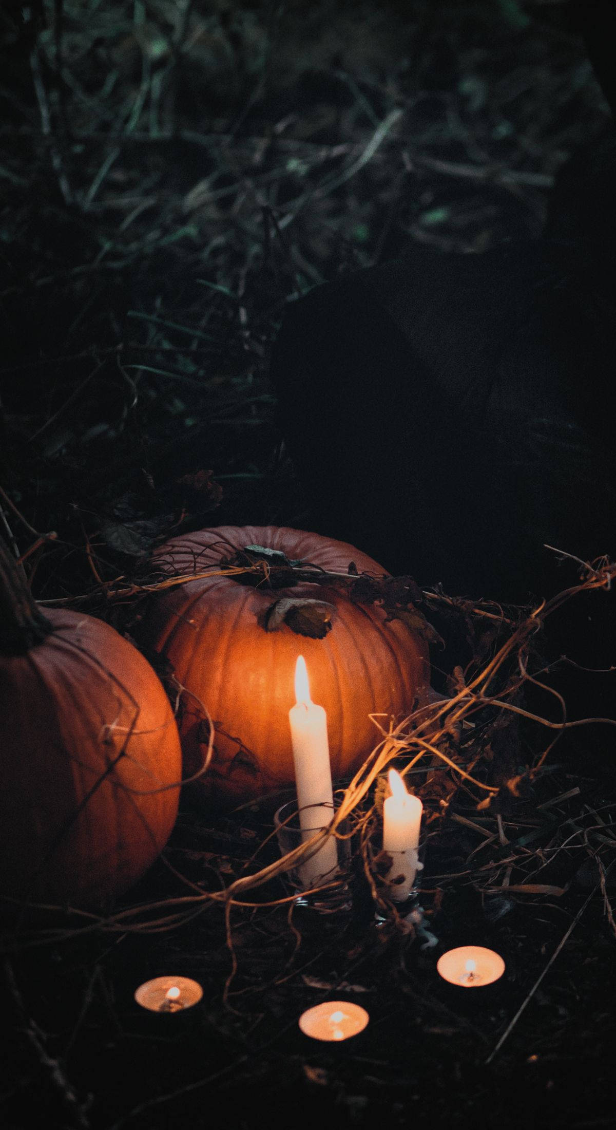 Græskar og stearinlys Halloween iPhone Wallpapers