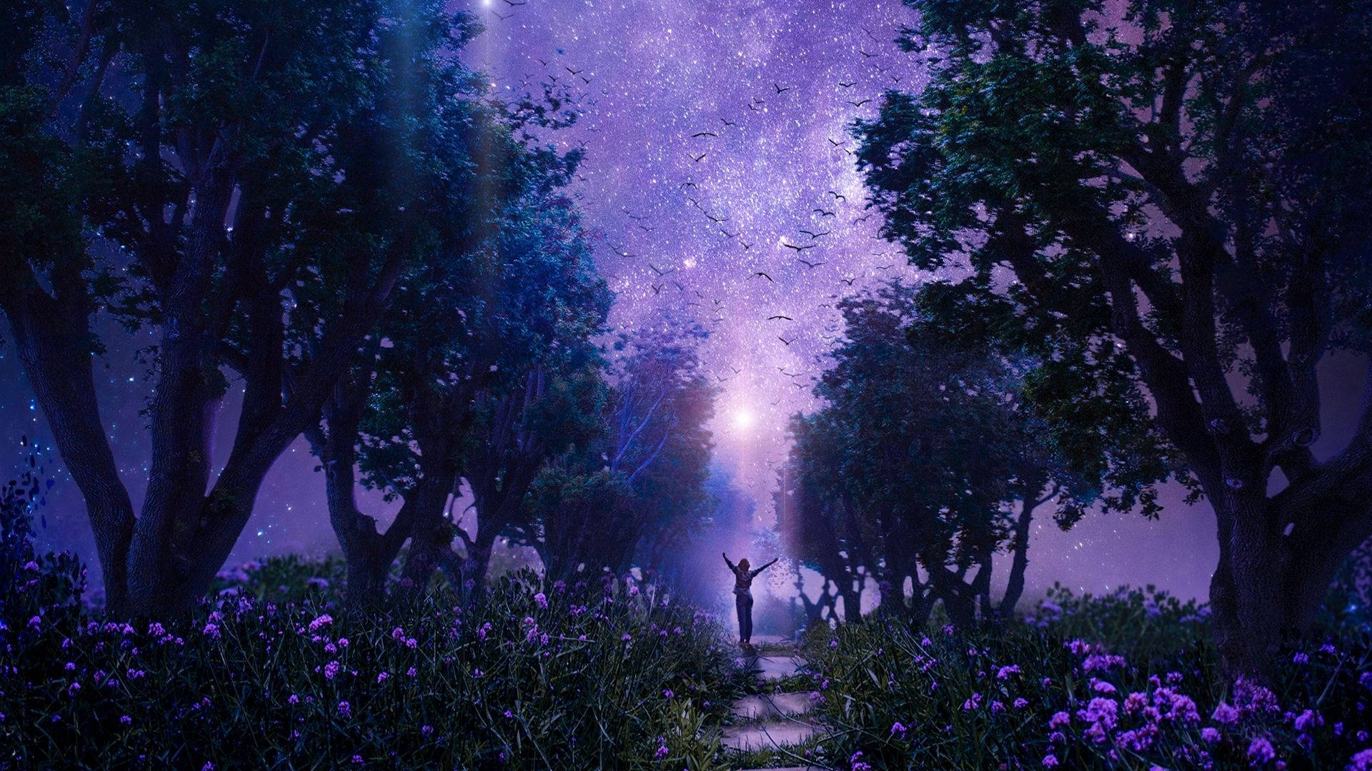 Gratis fe-æstetik Wallpapers