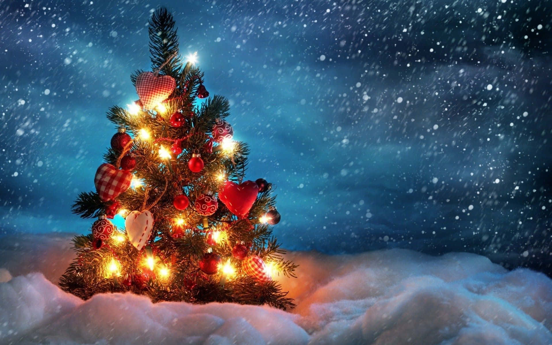 Gratis juletræ i sneen om natten billede Wallpapers