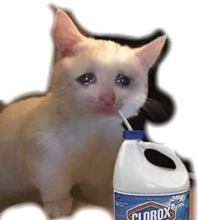 Grædende kat med blegemiddel meme Wallpapers