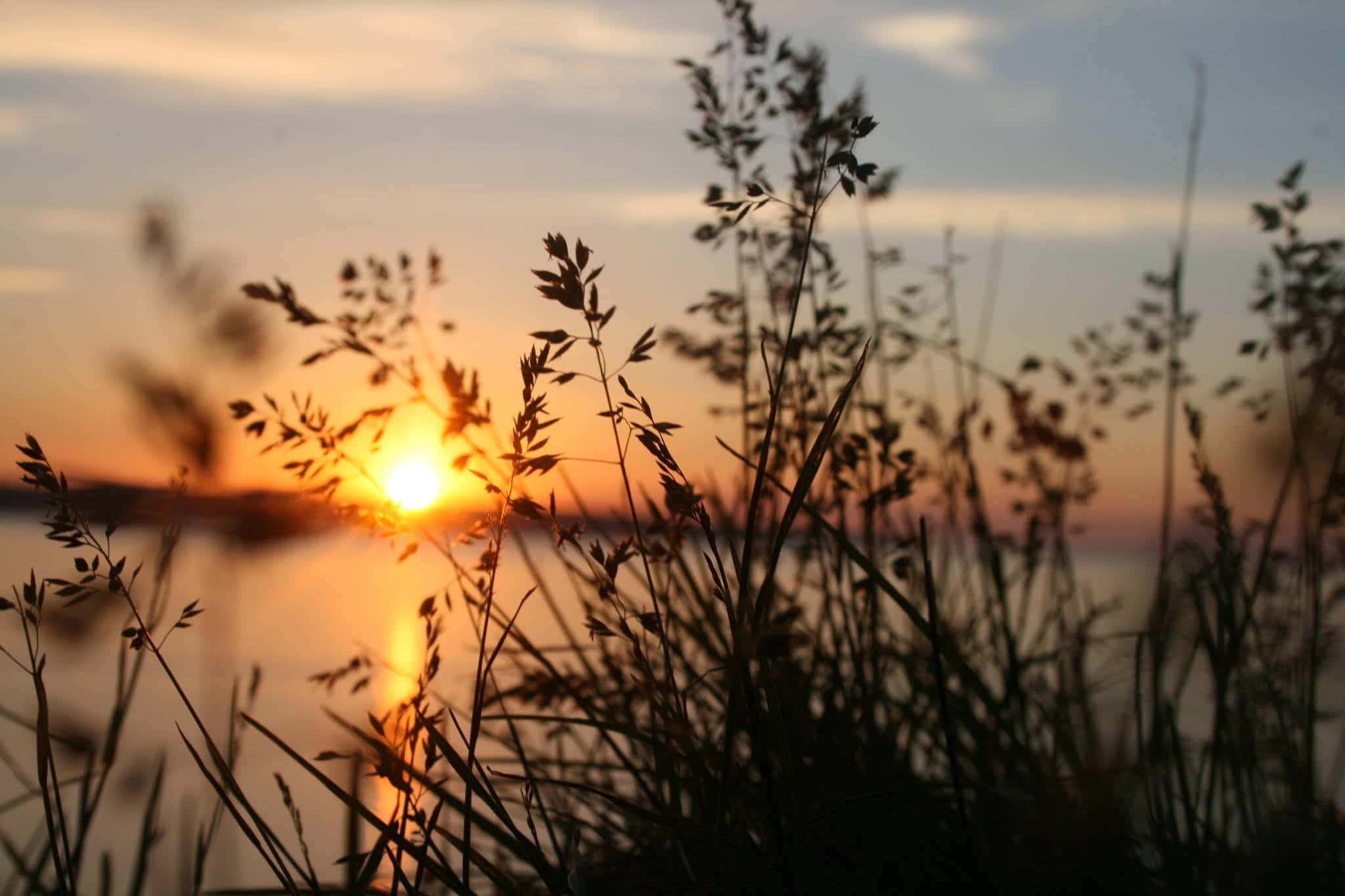 Grib dagen: En smuk solnedgang Wallpapers